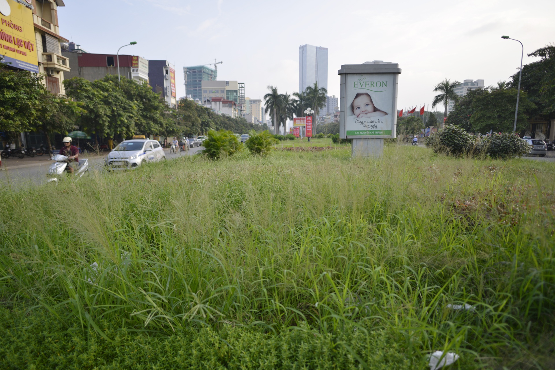 Co moc um tum khap neo duong anh 3