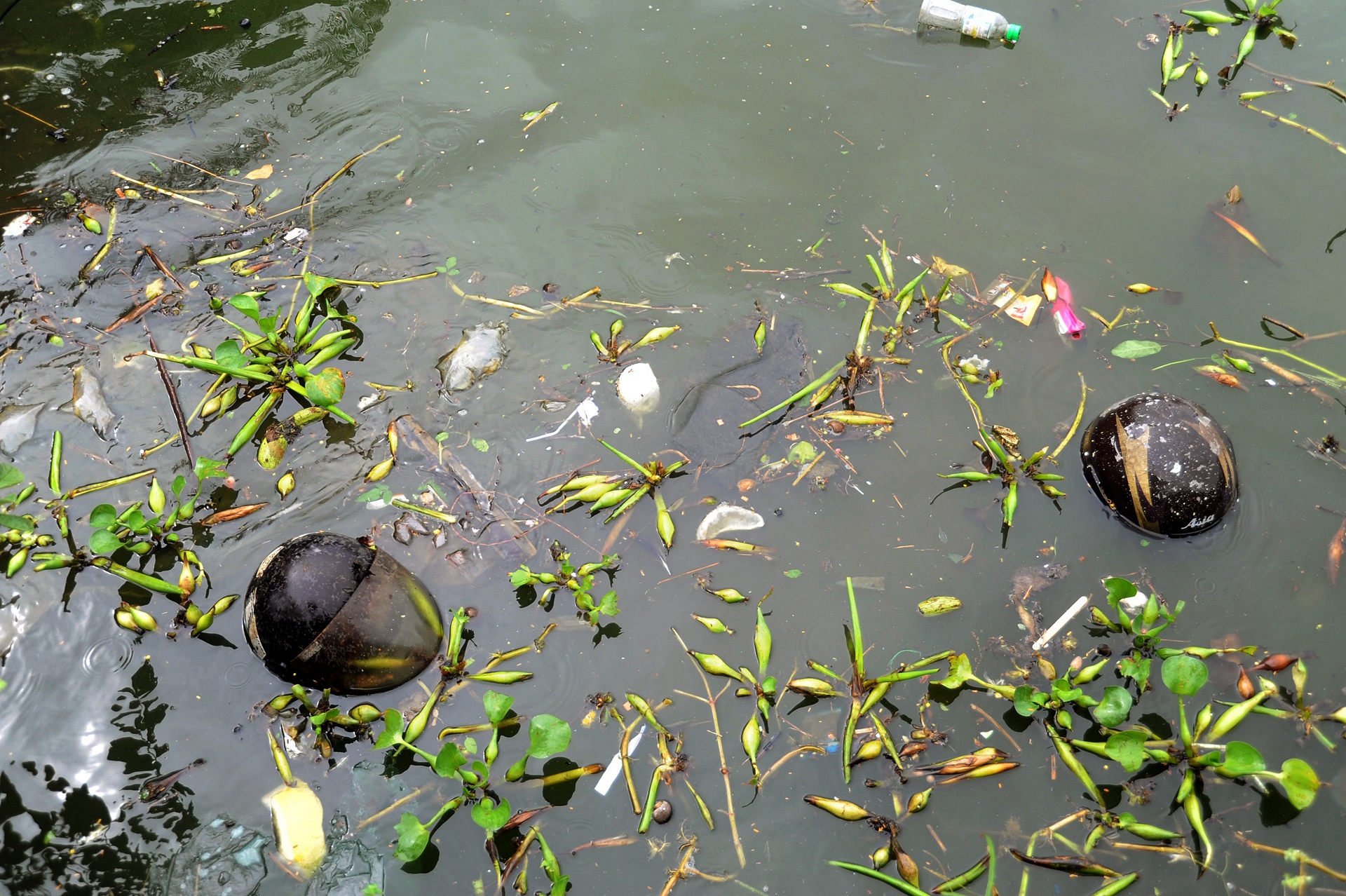 Xu ly nuoc ho bang hoa chat anh 7