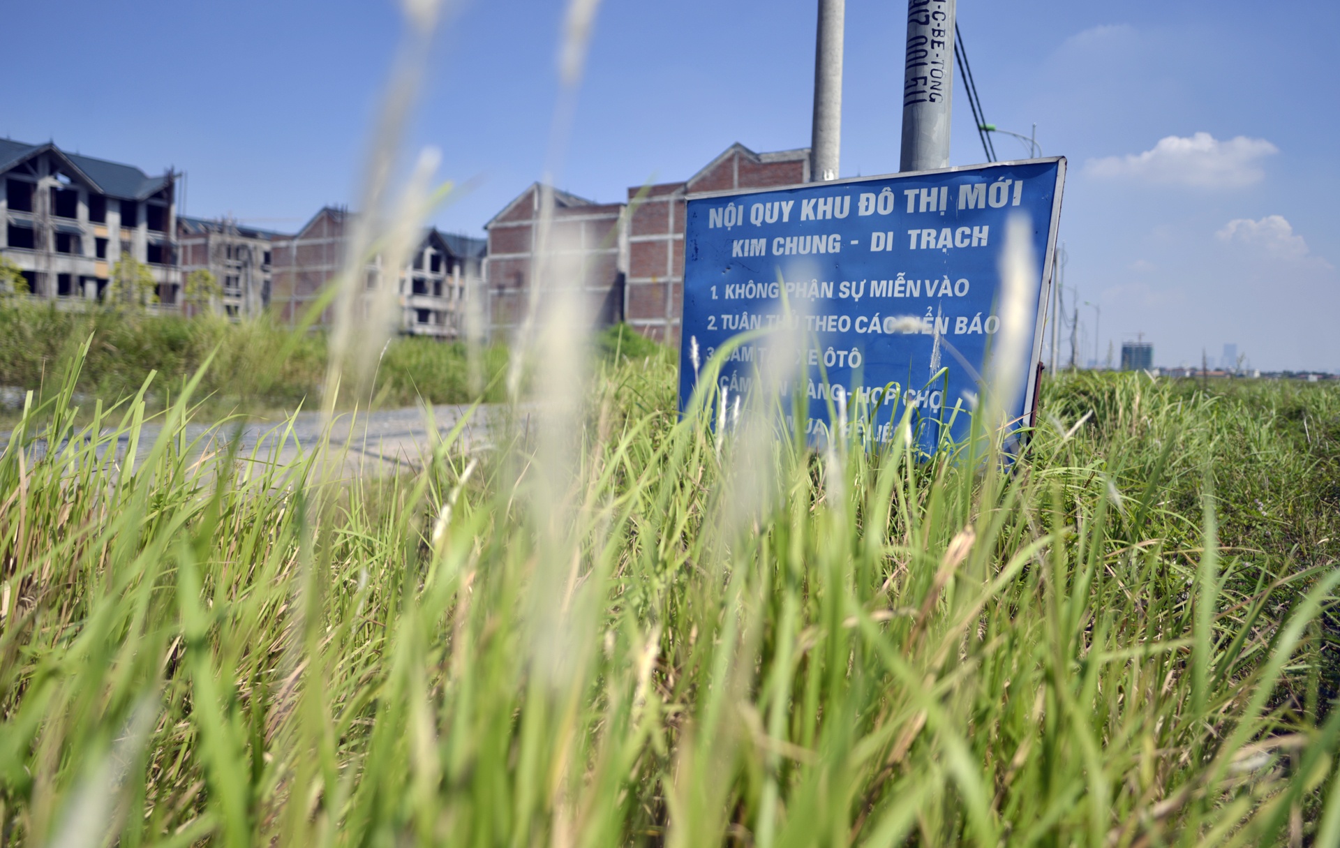 Trau nghi trua tai biet thu tien ty o Ha Noi anh 12