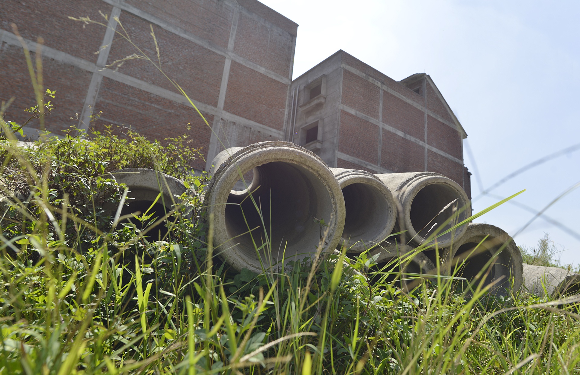 Trau nghi trua tai biet thu tien ty o Ha Noi anh 8