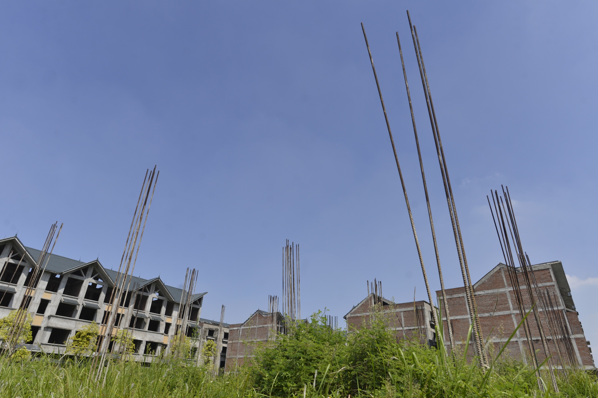 Trau nghi trua tai biet thu tien ty o Ha Noi anh 2