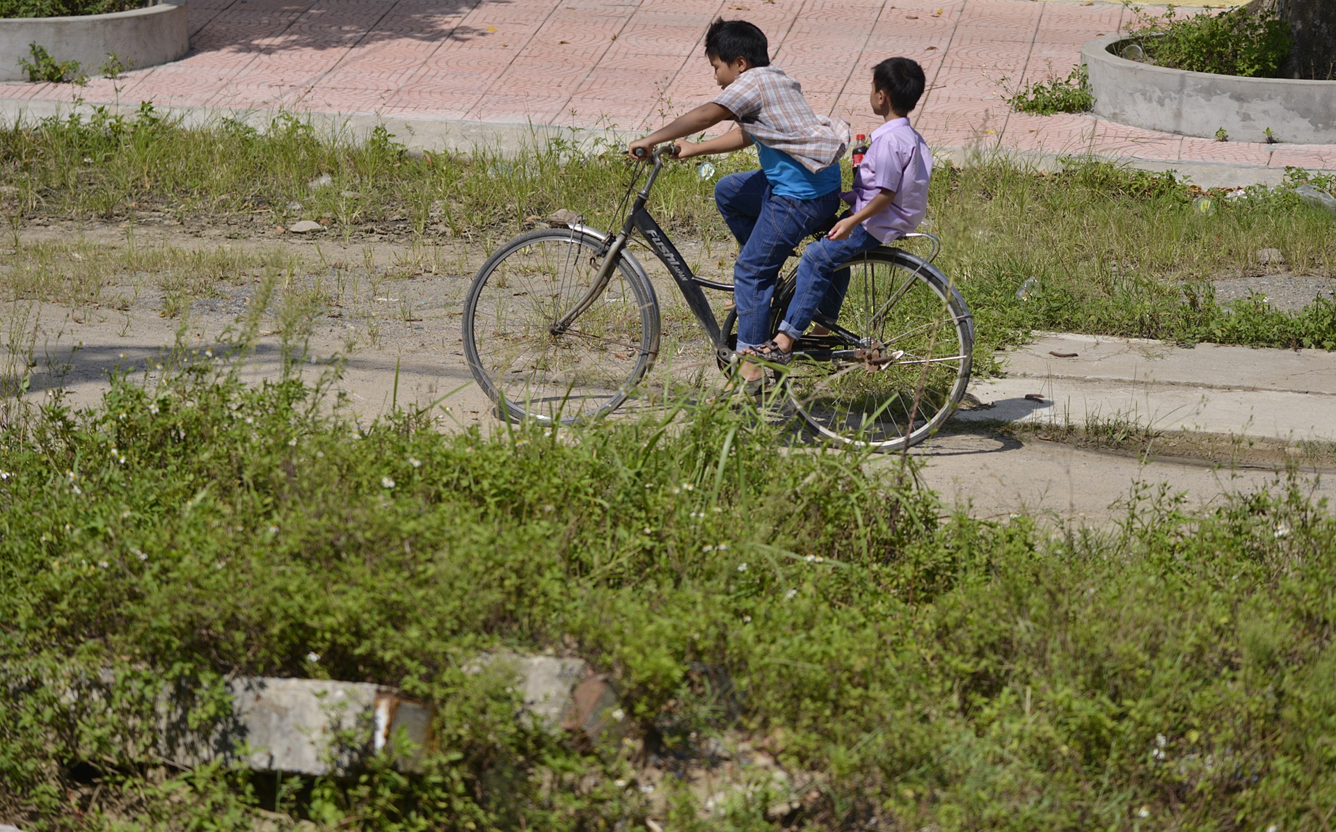 Trau nghi trua tai biet thu tien ty o Ha Noi anh 9