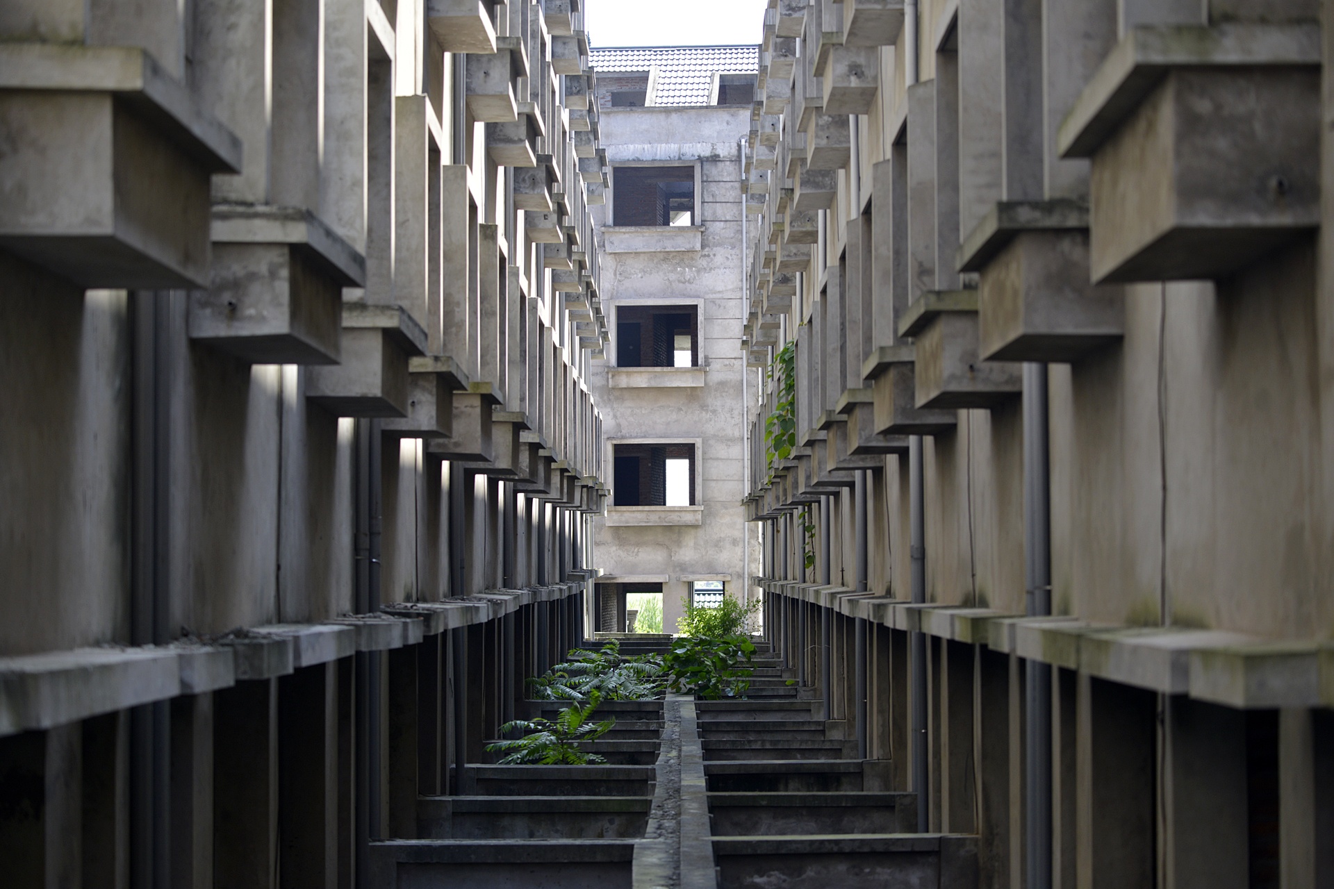 Trau nghi trua tai biet thu tien ty o Ha Noi anh 6