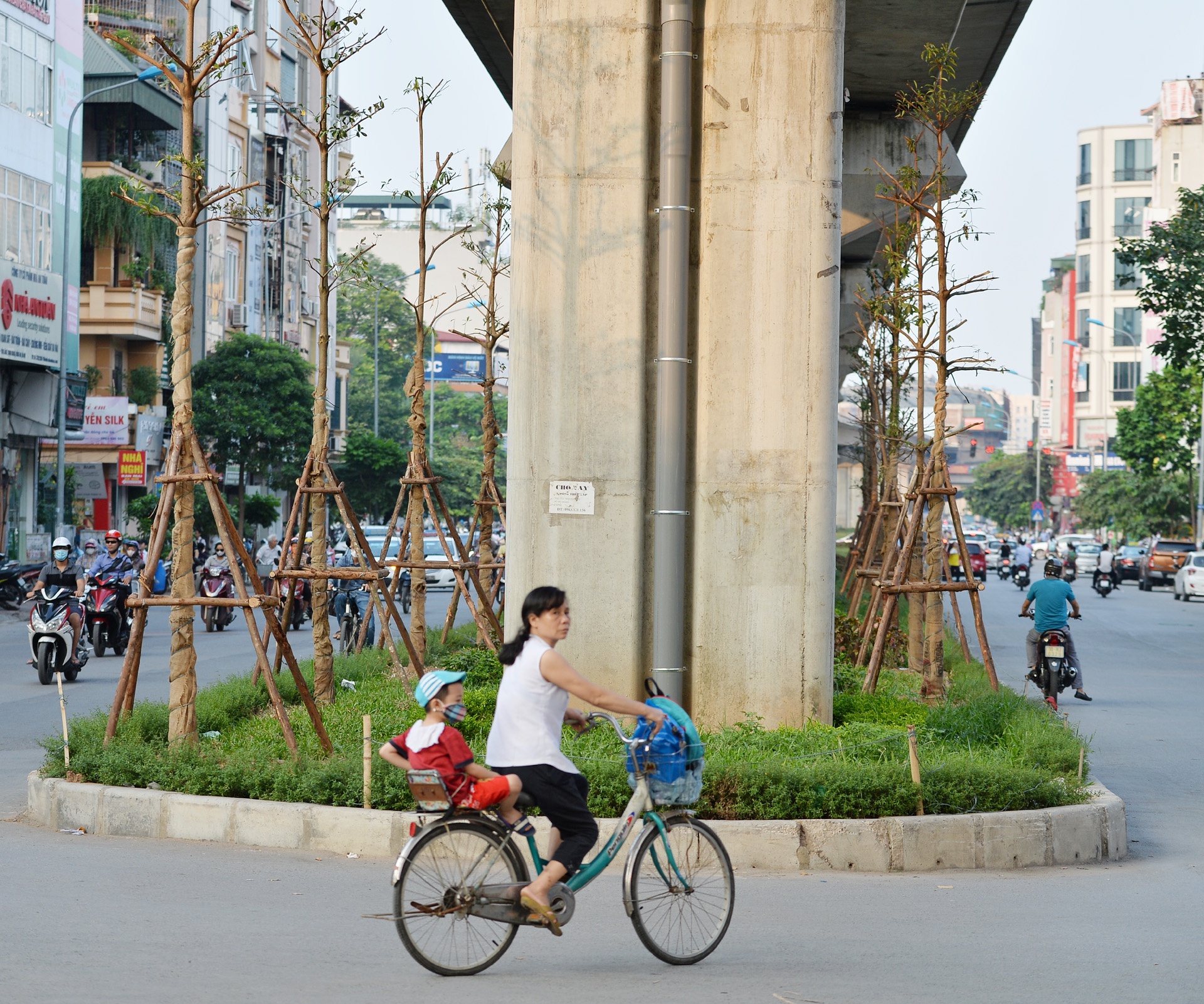 Trong cay xanh duoi tru duong sat tren cao anh 2