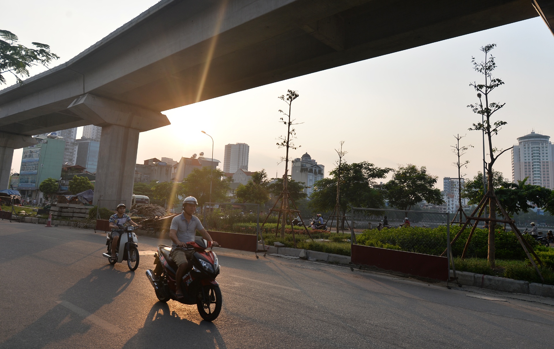 Trong cay xanh duoi tru duong sat tren cao anh 6