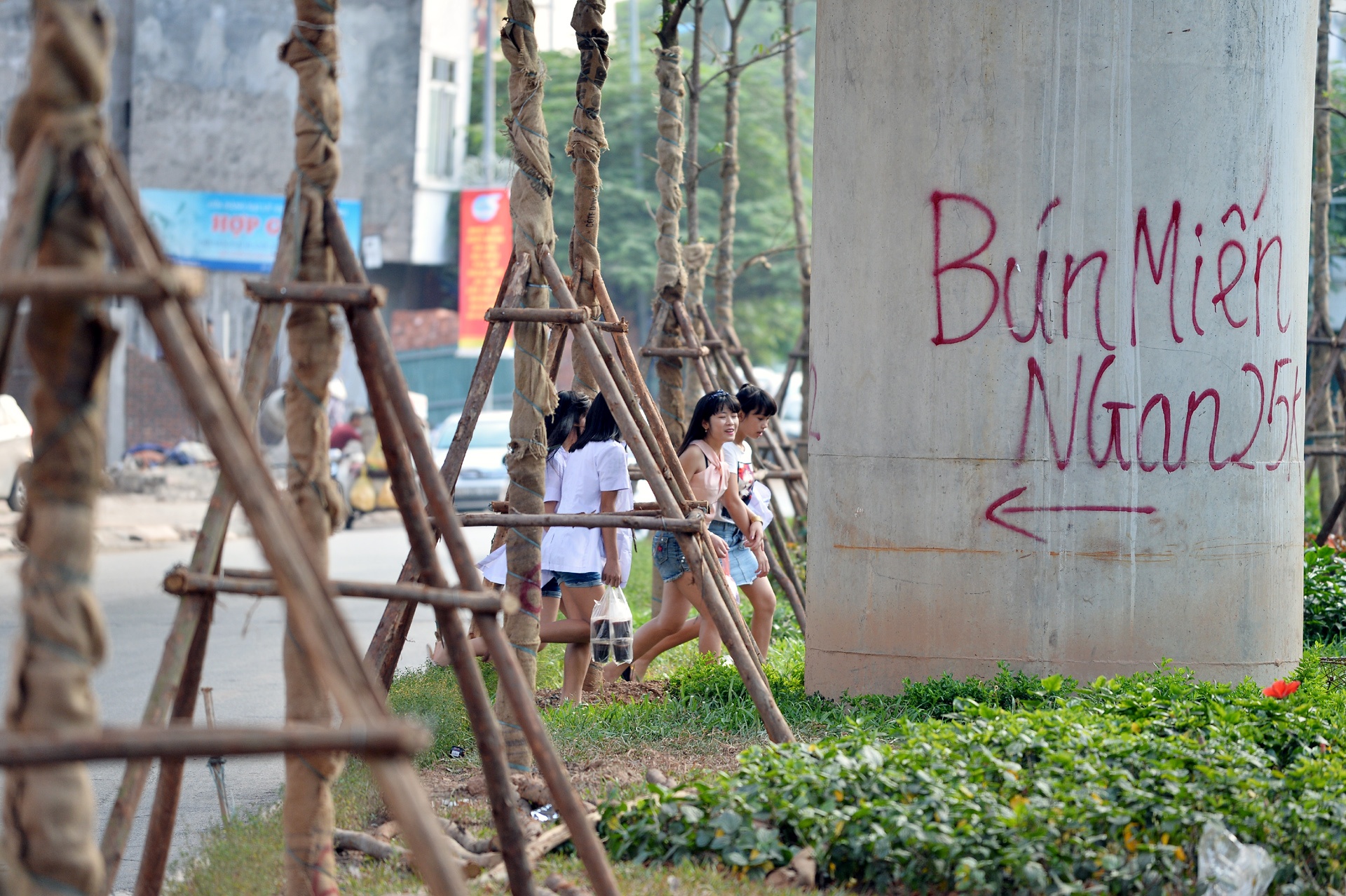 Trong cay xanh duoi tru duong sat tren cao anh 8