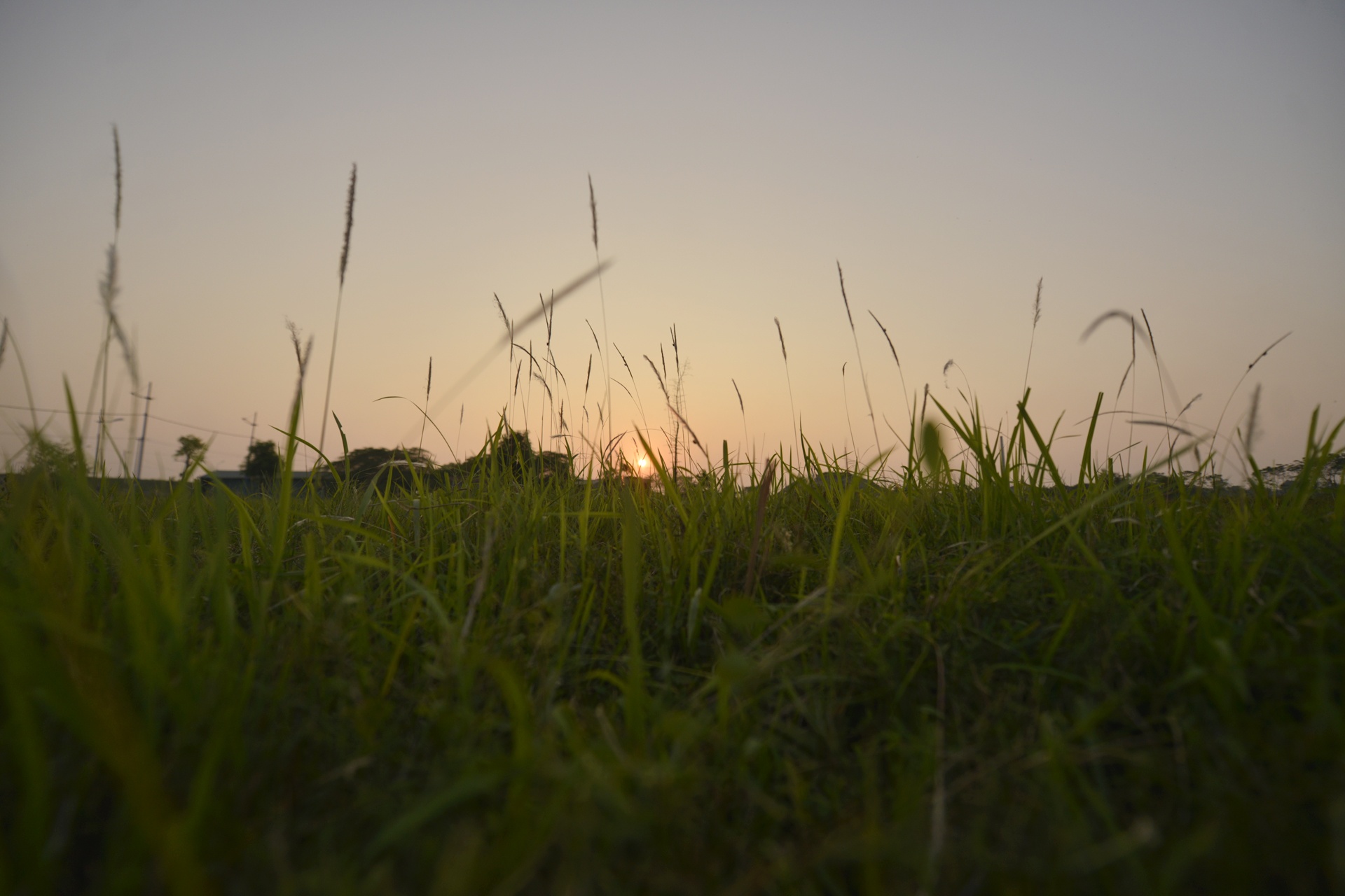 khu sinh thai nghi duong thanh noi chan bo anh 11