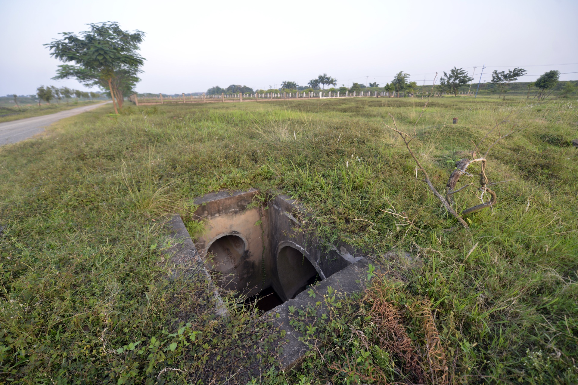 khu sinh thai nghi duong thanh noi chan bo anh 8