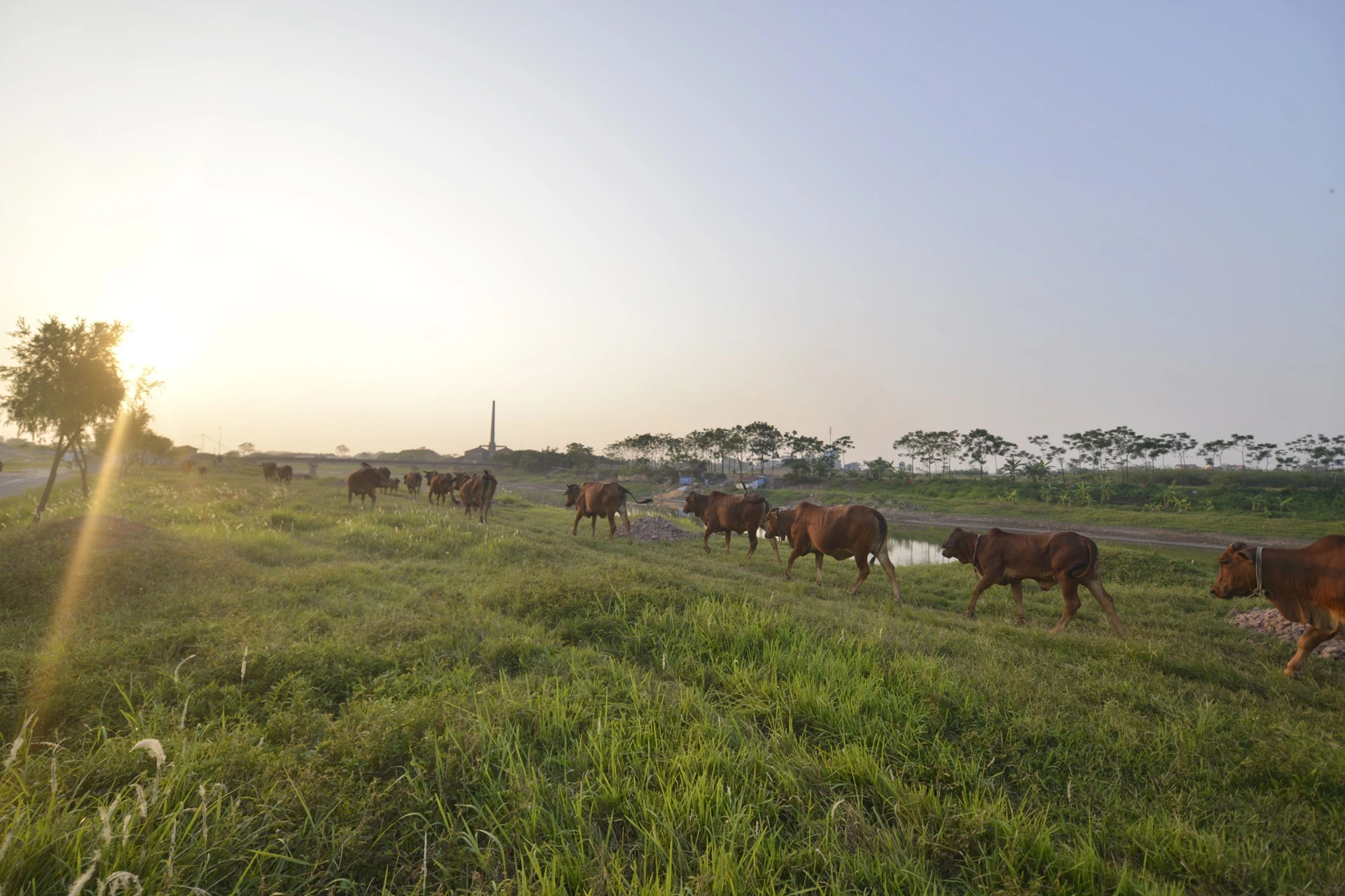khu sinh thai nghi duong thanh noi chan bo anh 1