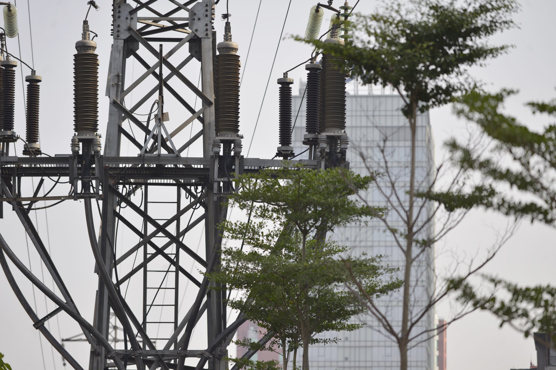 Ha Noi trong cay duoi duong day dien 110kv anh 2