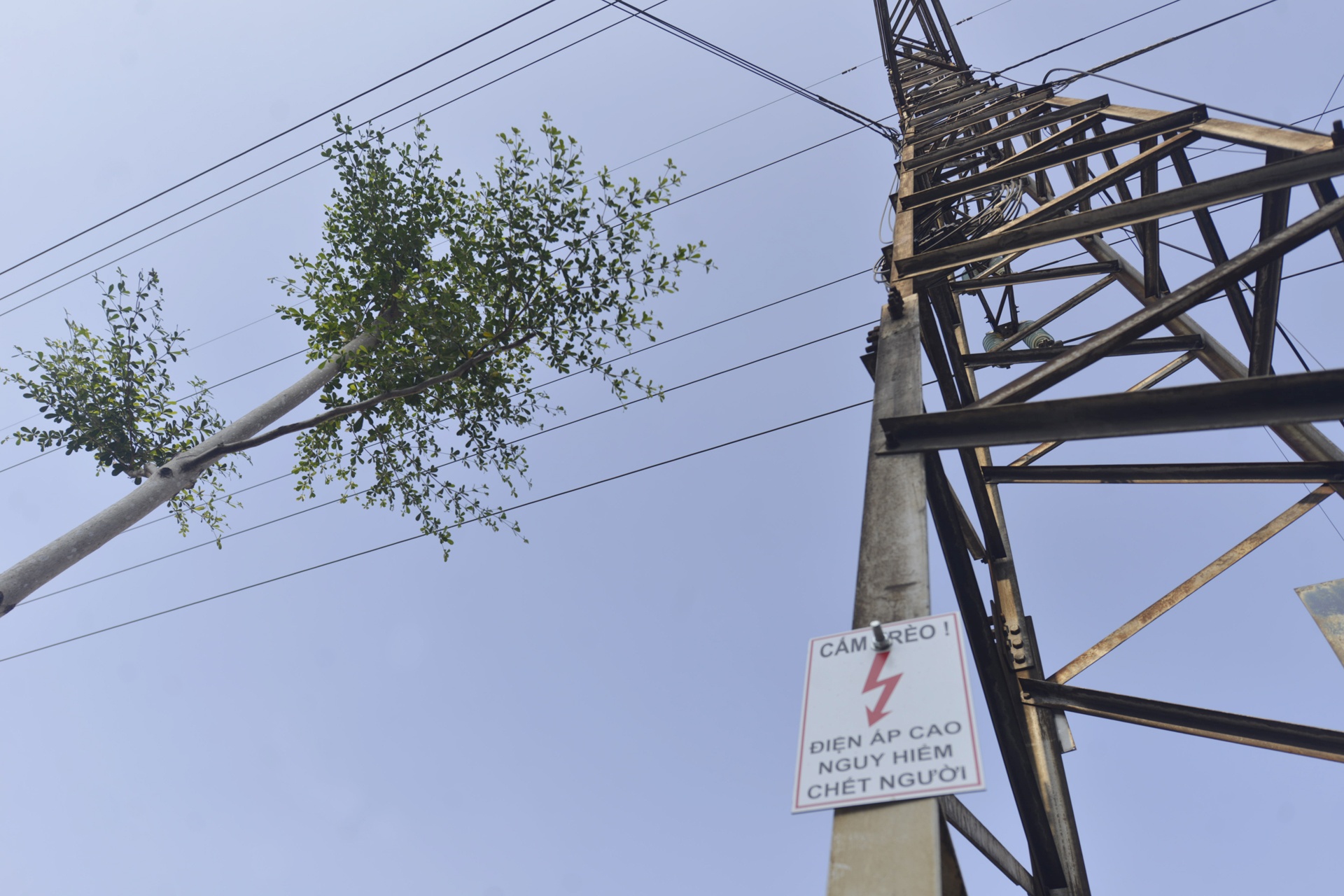 Ha Noi trong cay duoi duong day dien 110kv anh 3