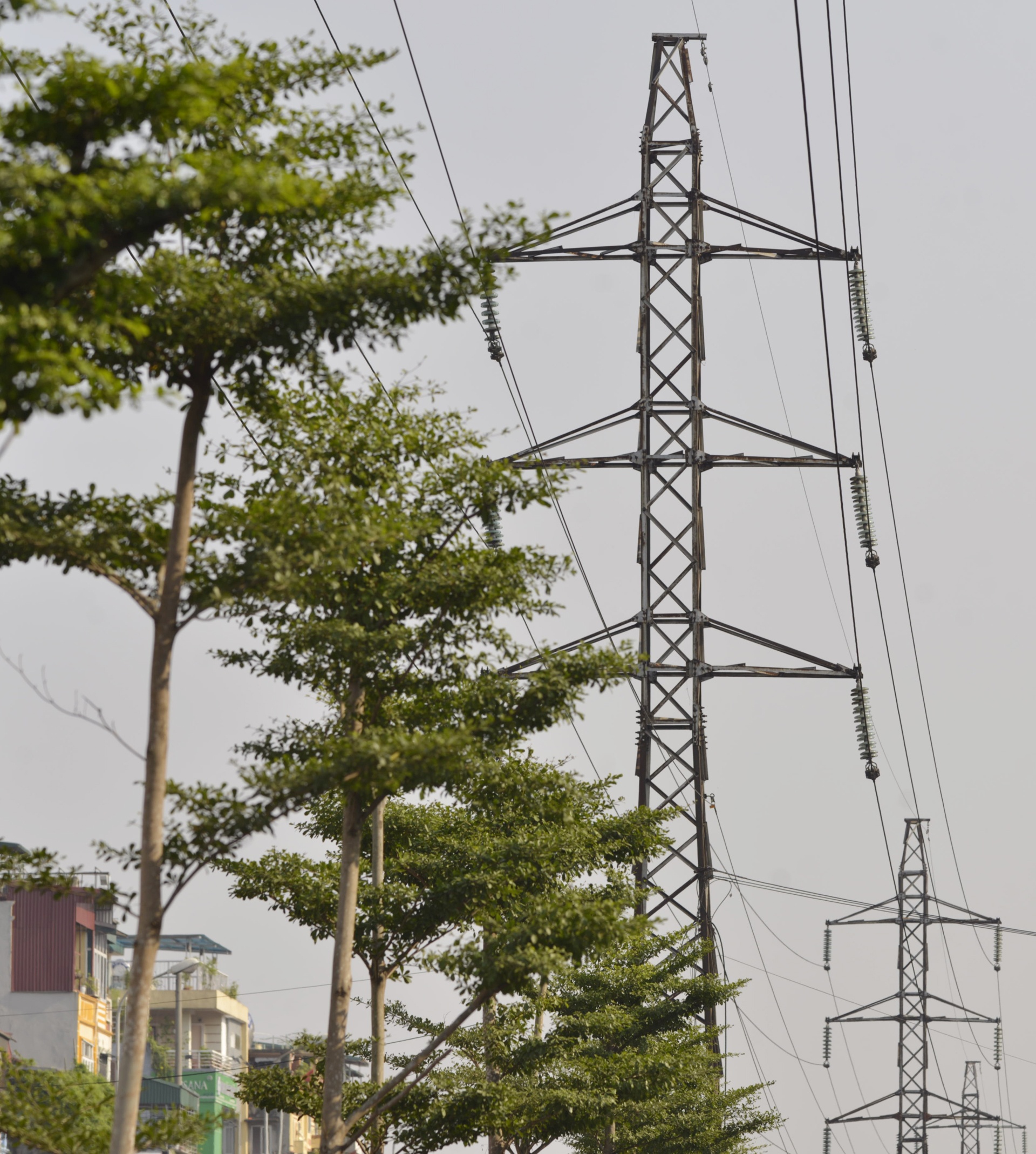 Ha Noi trong cay duoi duong day dien 110kv anh 4