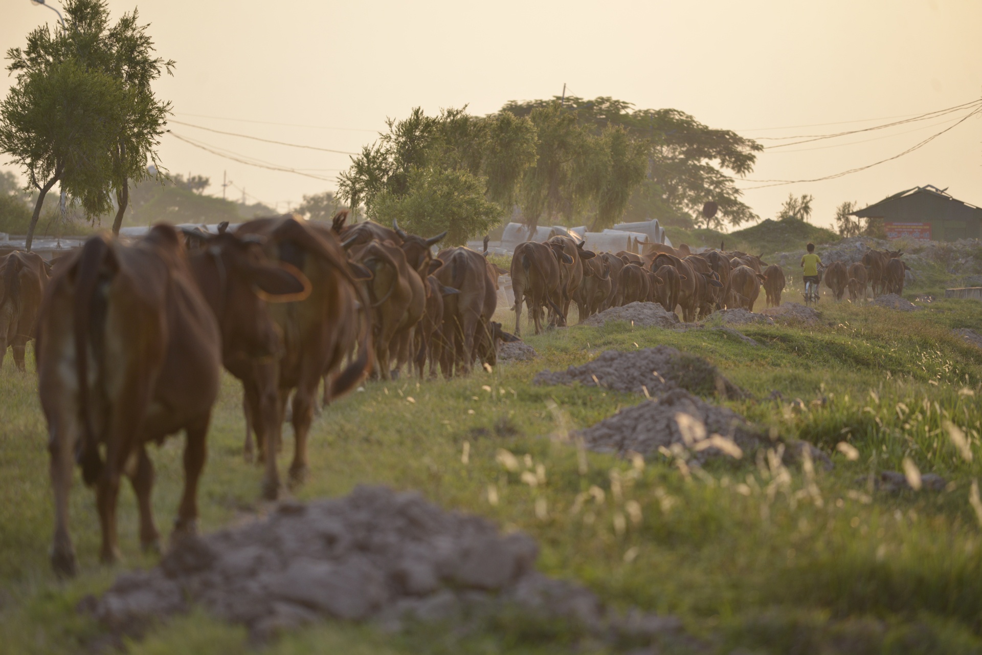 khu sinh thai nghi duong thanh noi chan bo anh 4