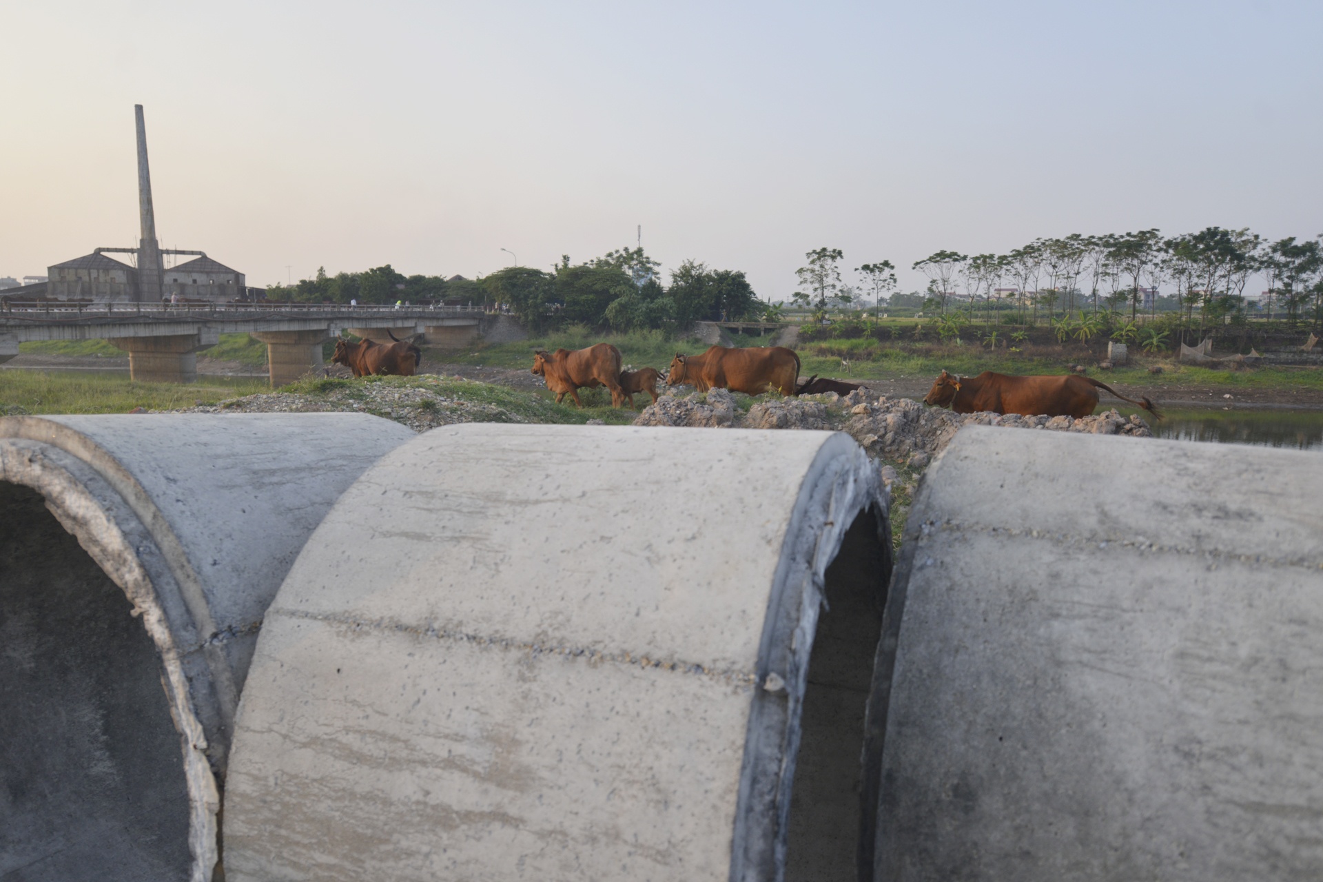 khu sinh thai nghi duong thanh noi chan bo anh 6