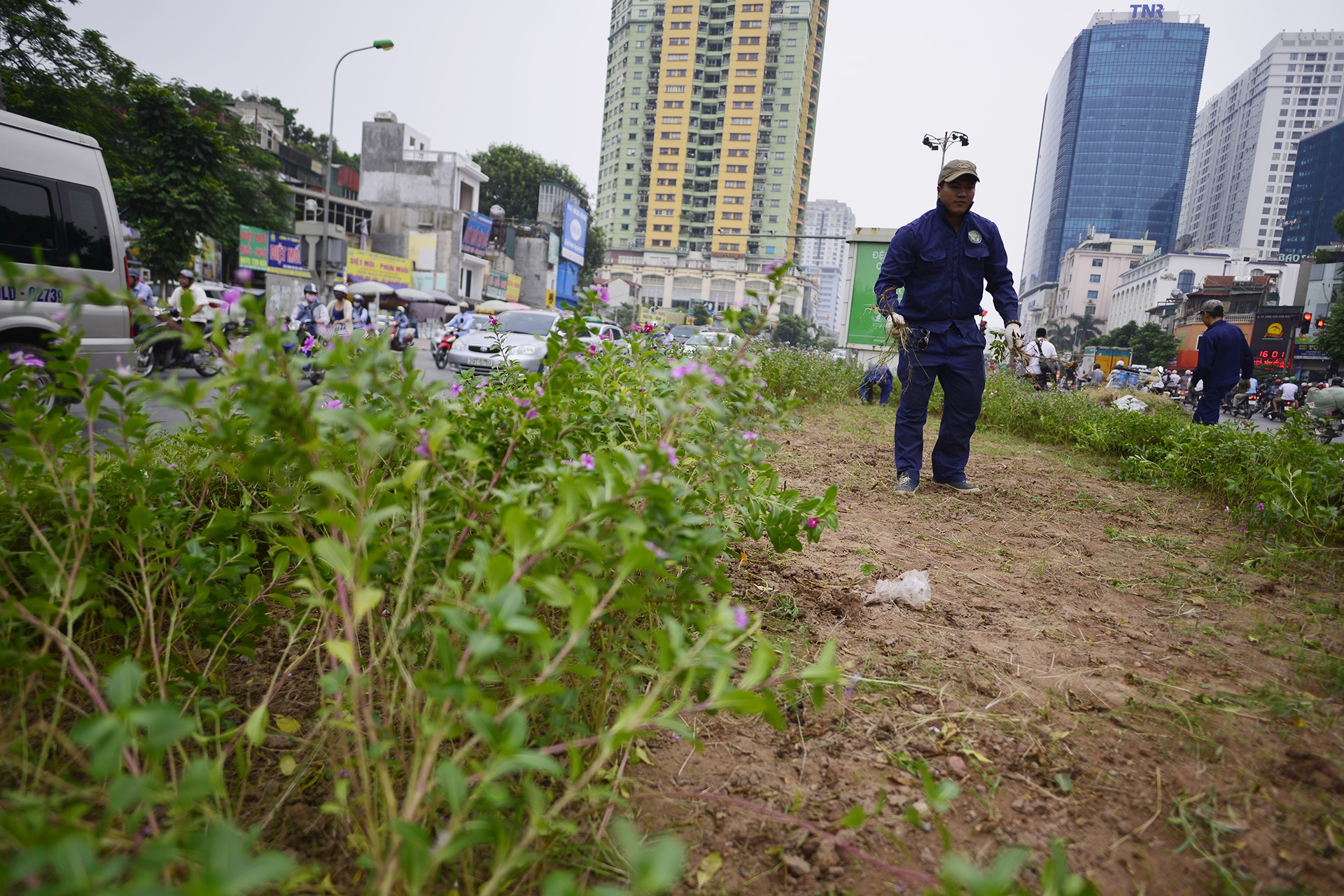 Ha Noi nhon nhip cat co sau 3 thang tam dung anh 12