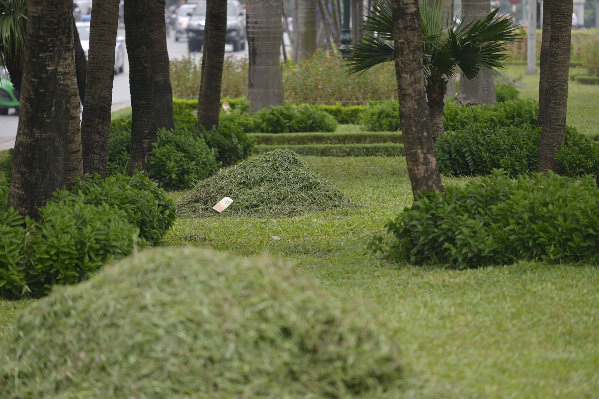 Ha Noi nhon nhip cat co sau 3 thang tam dung anh 8