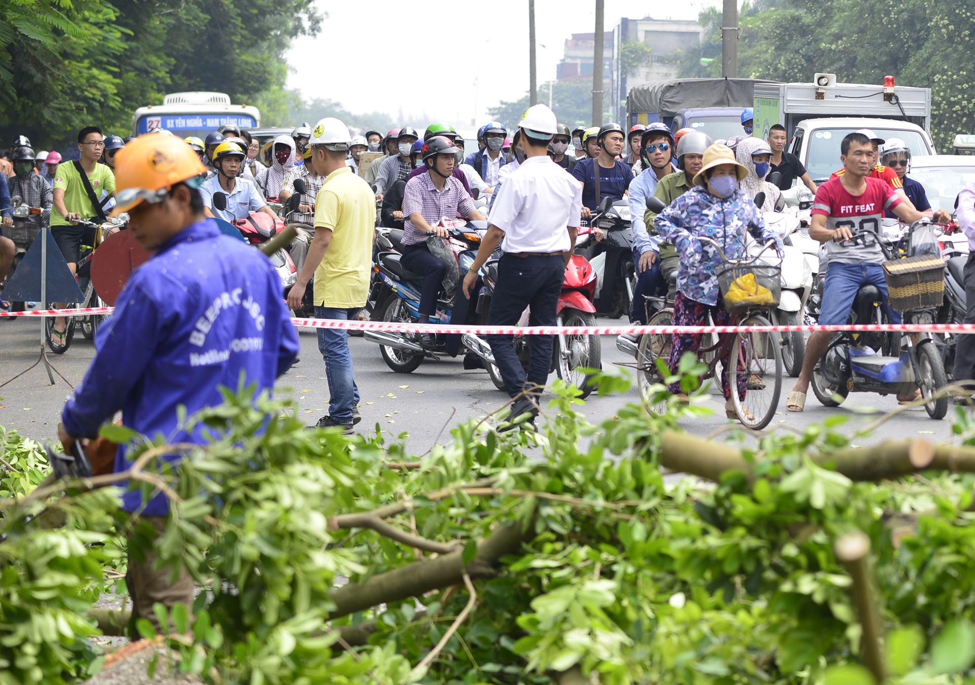 Ha Noi chat hang loat cay tren duong Kim Ma anh 5