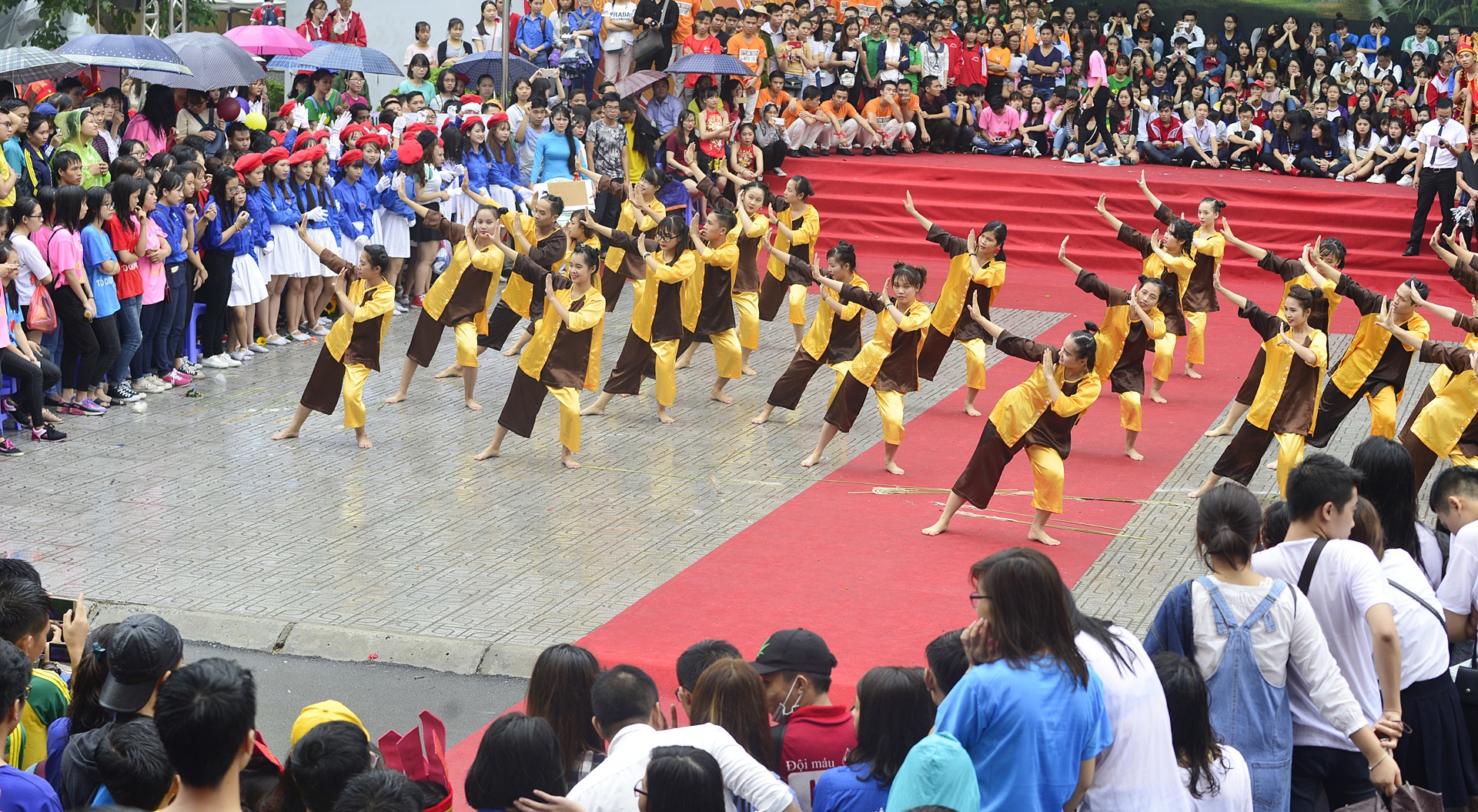Sinh vien dau vo duoi mua anh 1