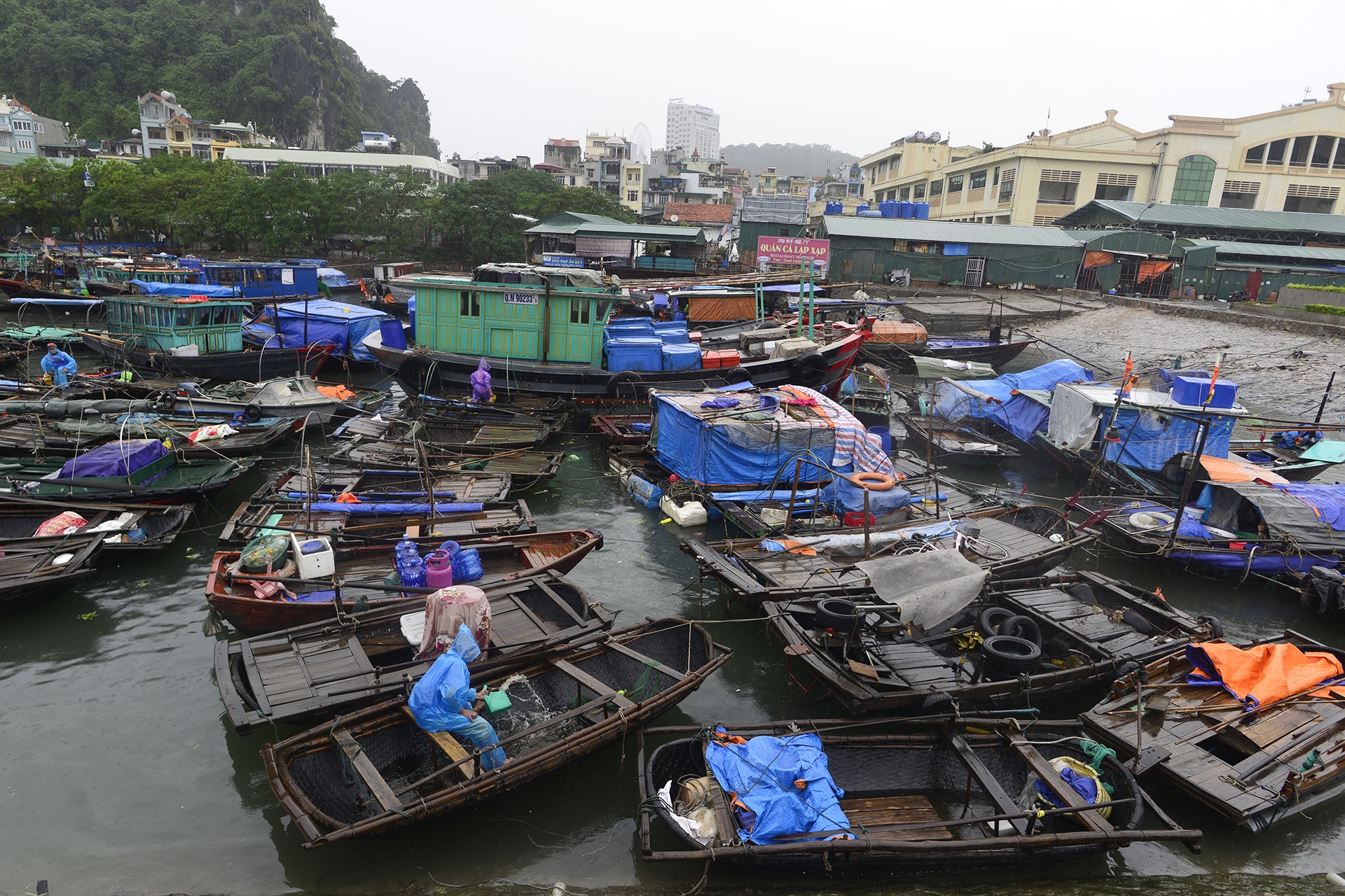 Khu du lich diu hiu trong bao so 7 anh 11