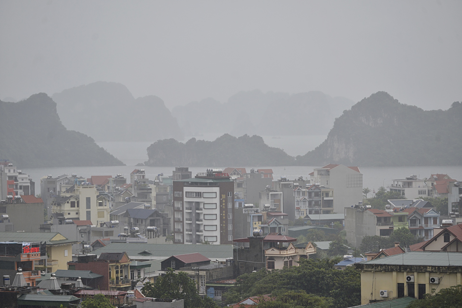 Pho Thu Tuong chi dao tai Quang Ninh anh 6