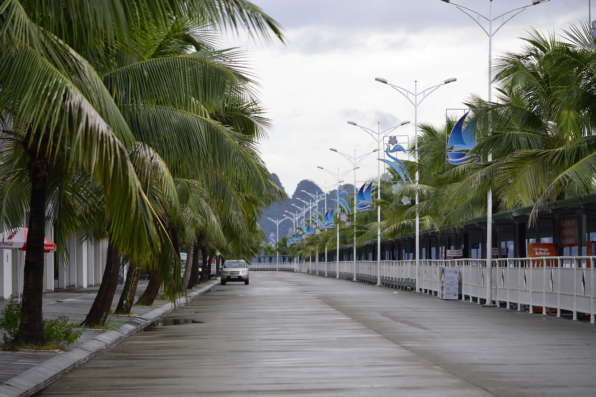 Khu du lich diu hiu trong bao so 7 anh 2