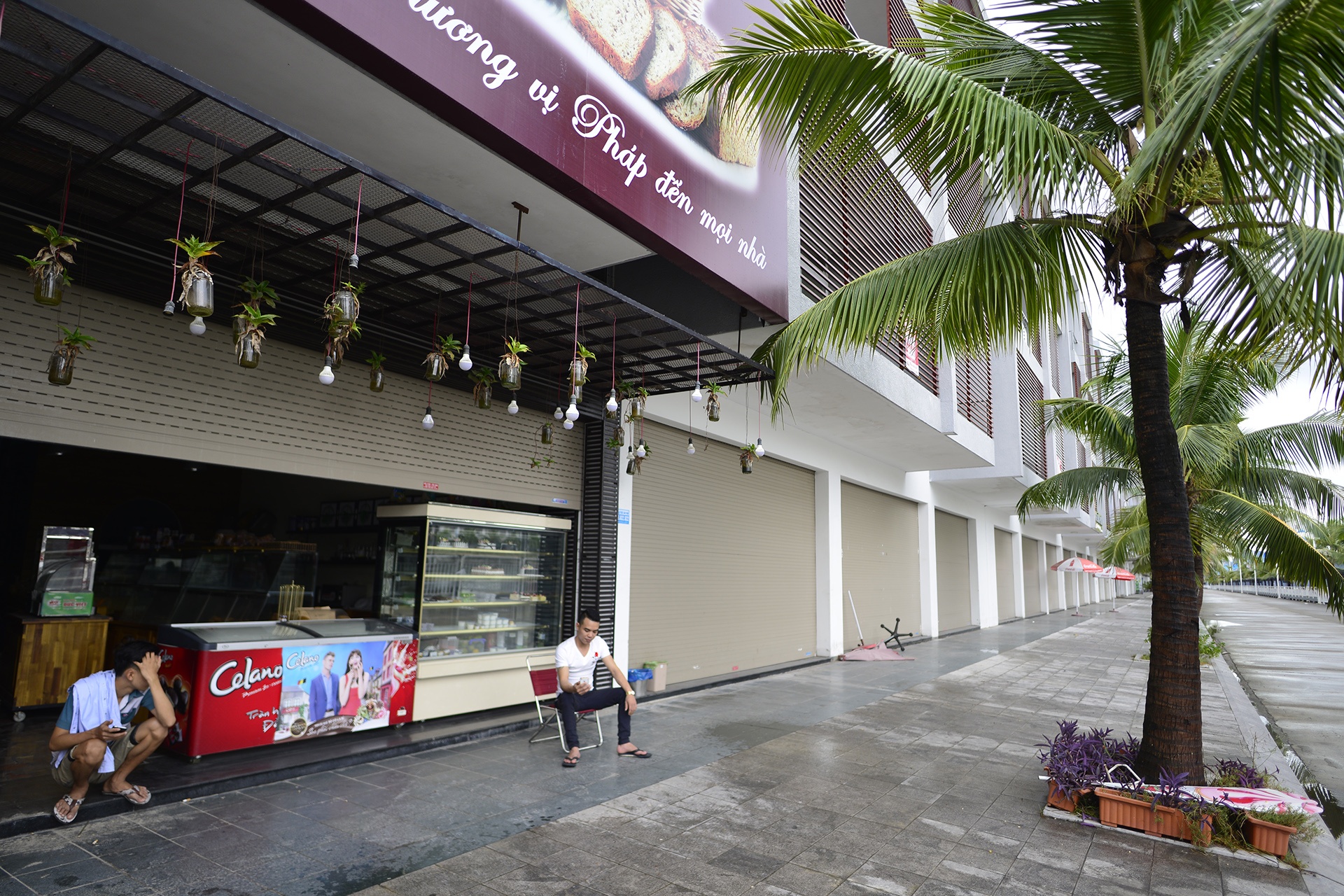 Khu du lich diu hiu trong bao so 7 anh 3