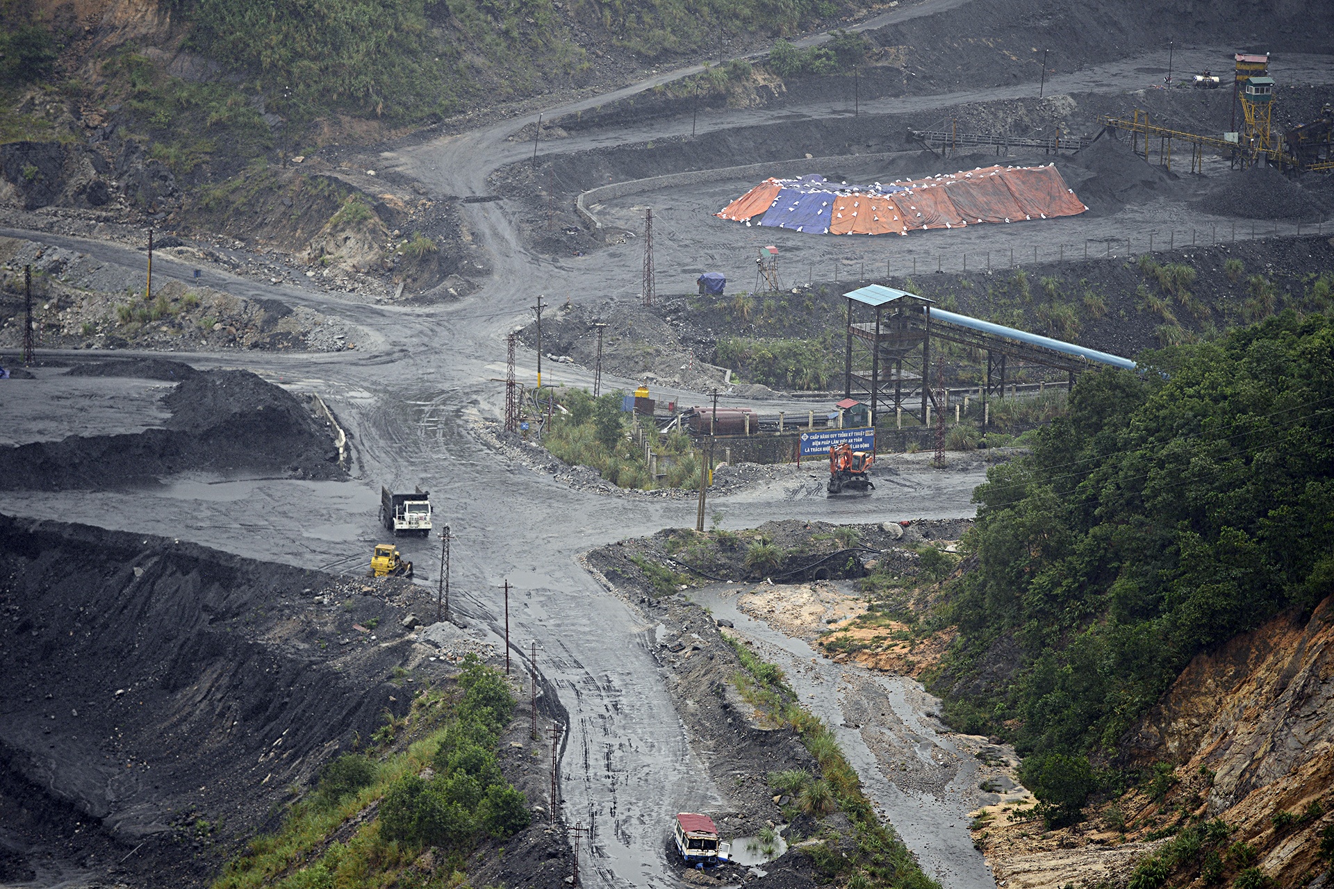 Pho Thu Tuong chi dao tai Quang Ninh anh 3