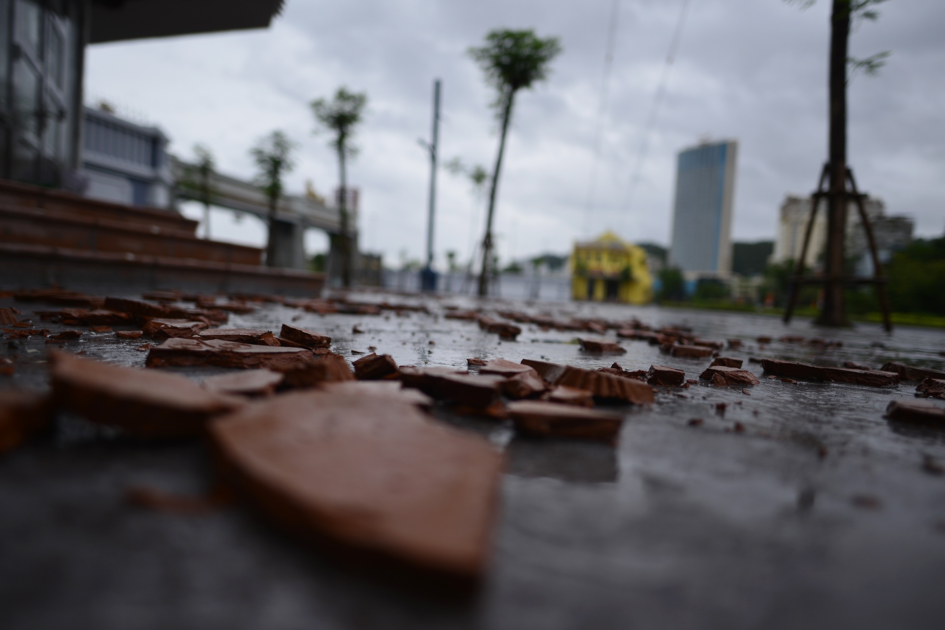 Ha Long vang ve sau khi bao tan hinh anh