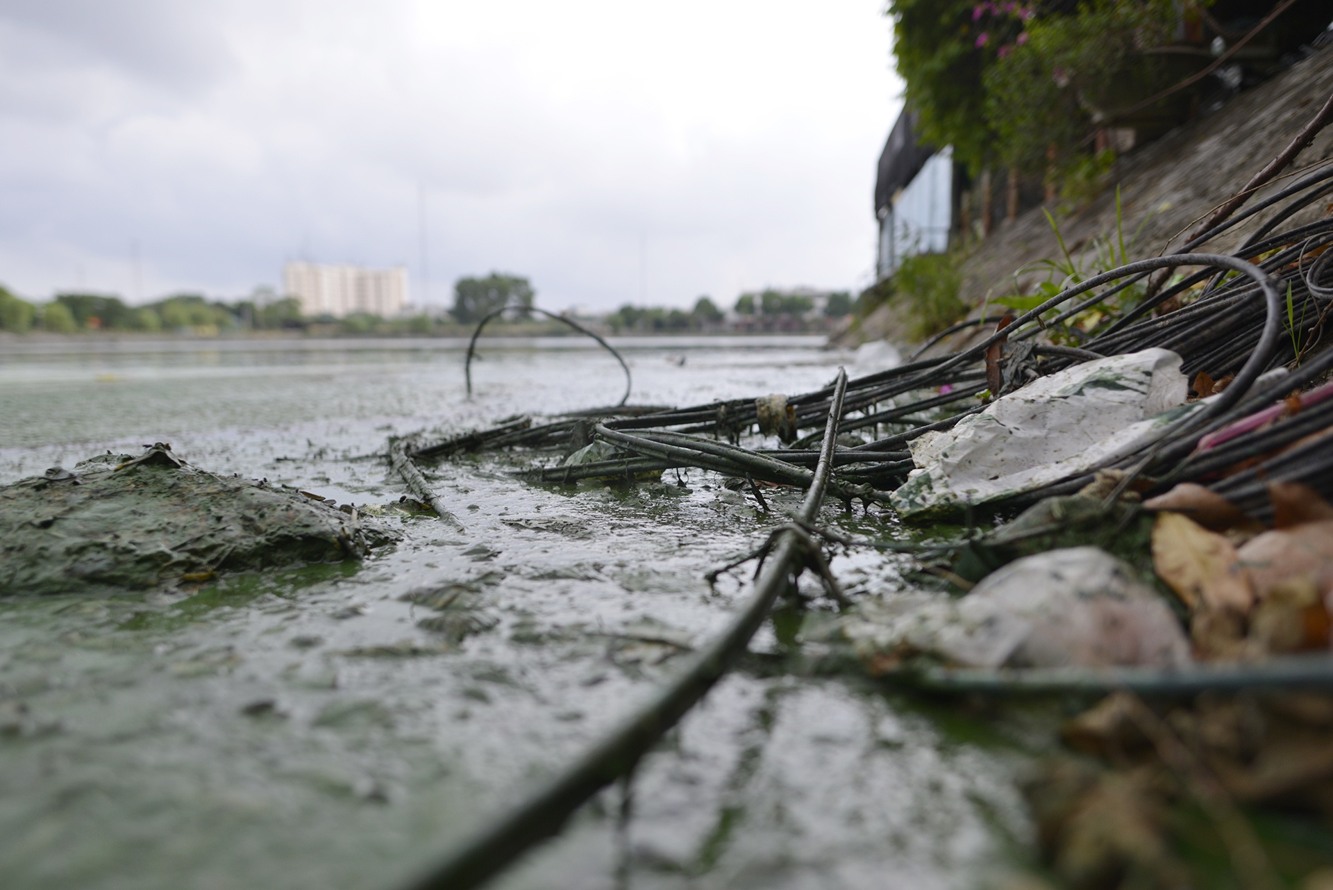 Ho Van Quan boc mui hoi thoi anh 11