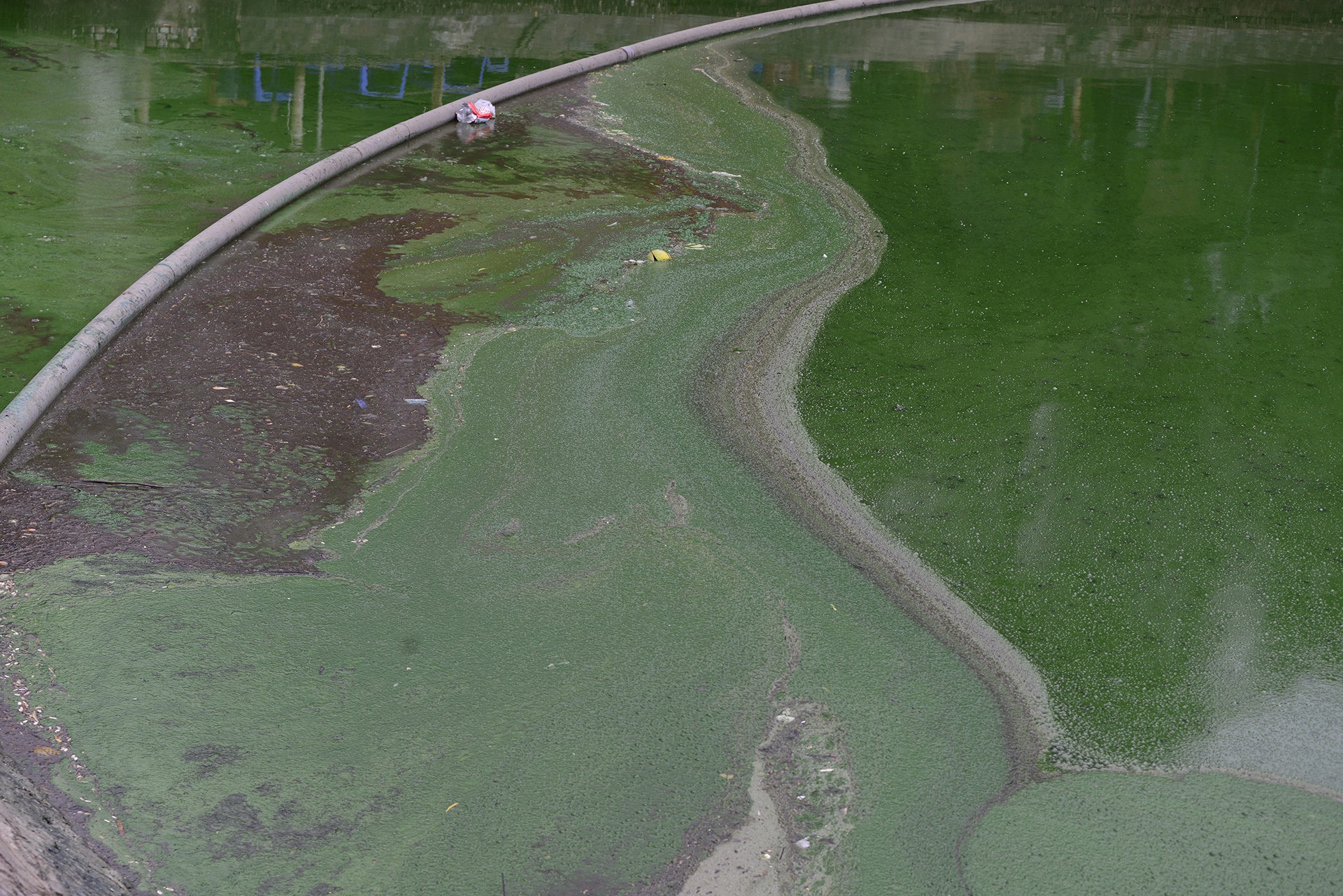 Ho Van Quan boc mui hoi thoi anh 2