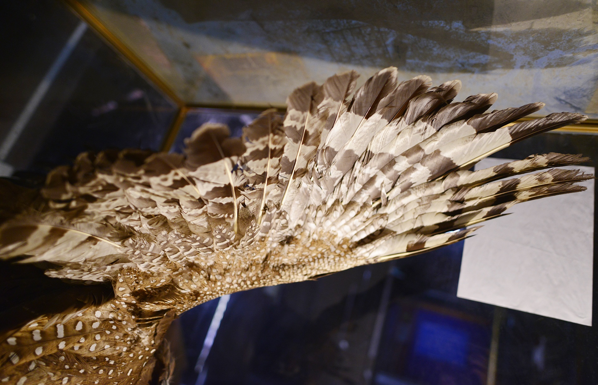 Dai bang dat duoc nguoi dan uop xac suot 13 nam anh 9