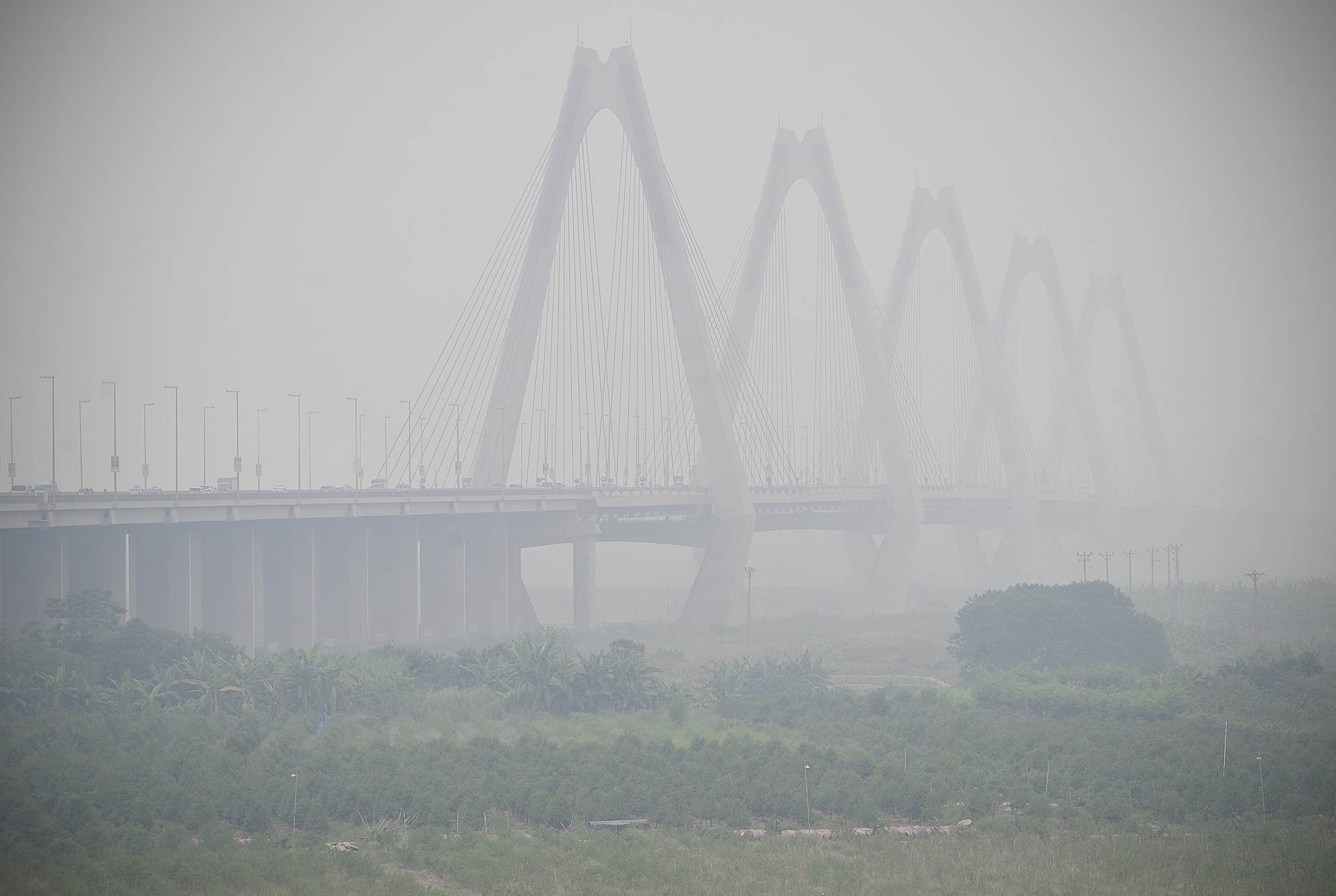 Cau Nhat Tan chim trong suong mu day dac giua trua anh 1