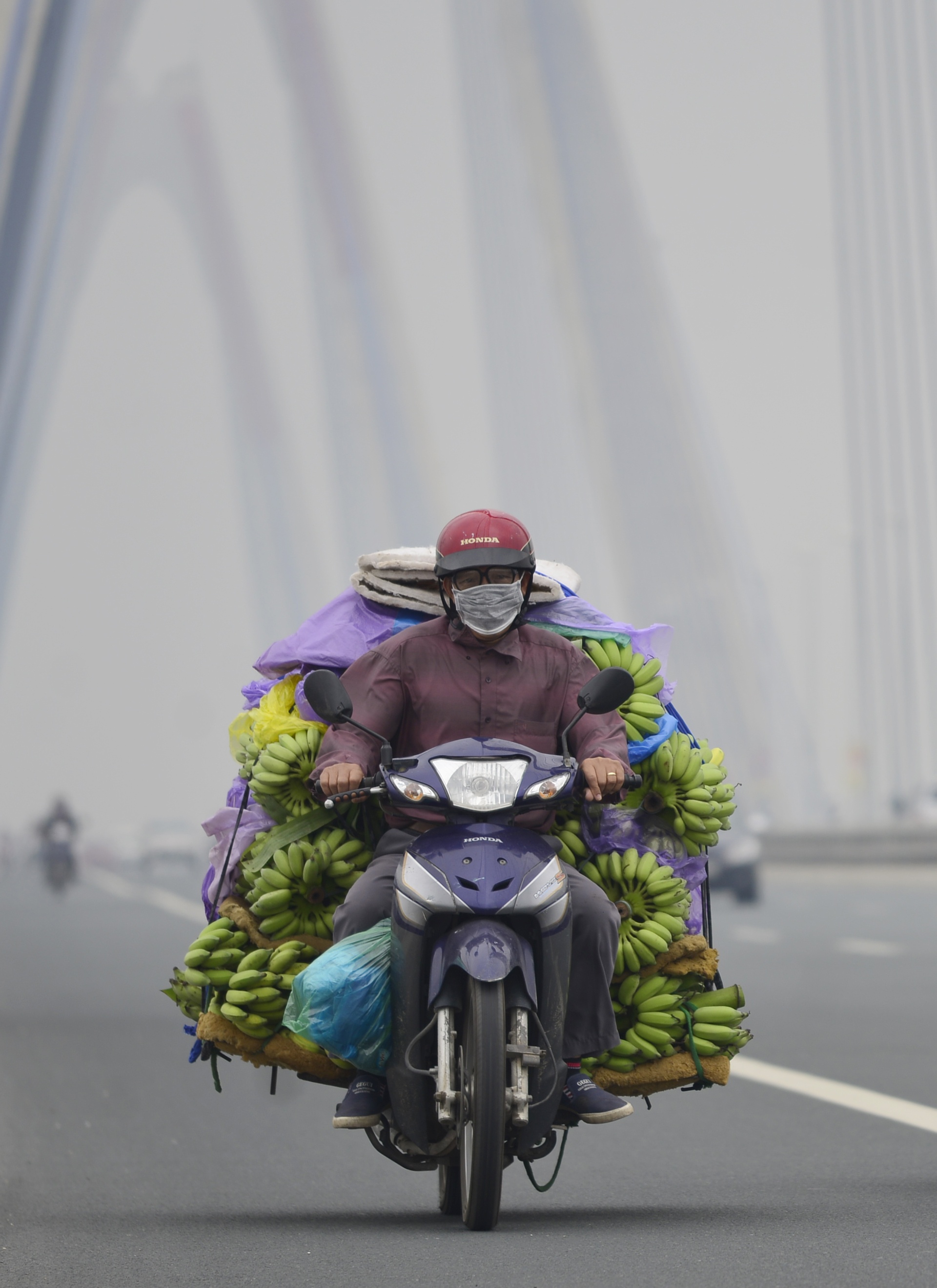 Cau Nhat Tan chim trong suong mu day dac giua trua anh 5