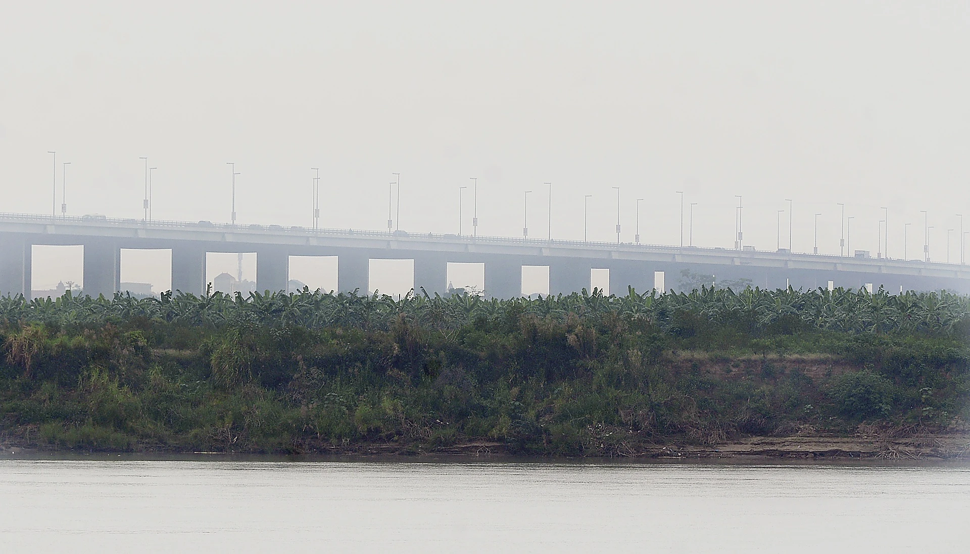 Cau Nhat Tan chim trong suong mu day dac giua trua anh 2