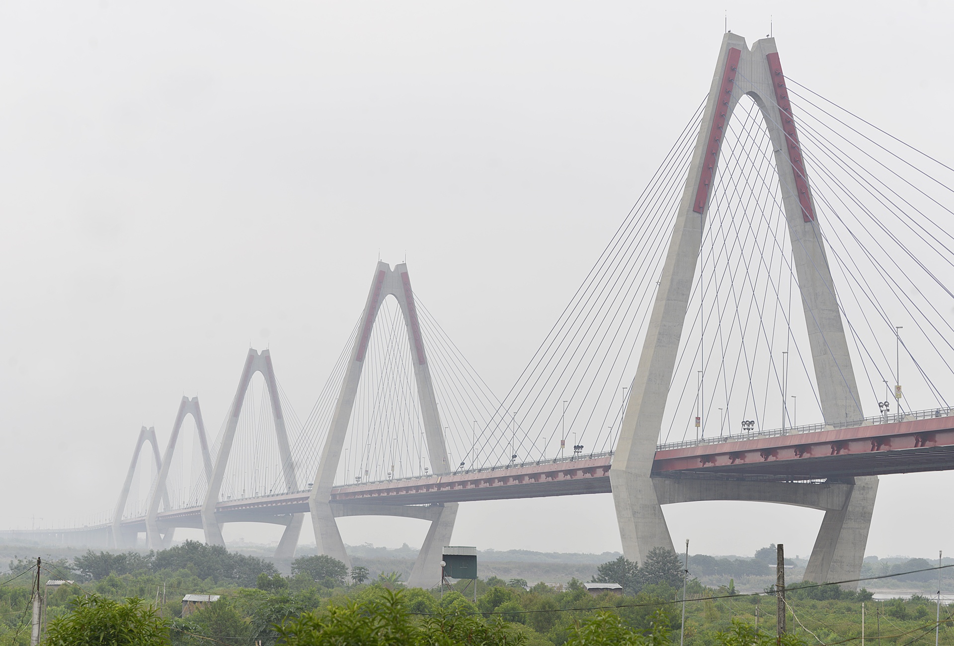 Cau Nhat Tan chim trong suong mu day dac giua trua anh 8