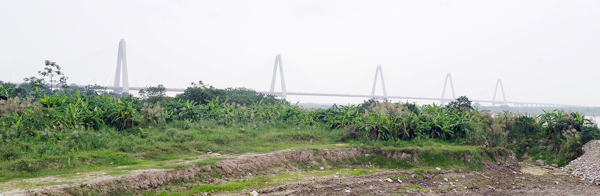 Cau Nhat Tan chim trong suong mu day dac giua trua anh 11