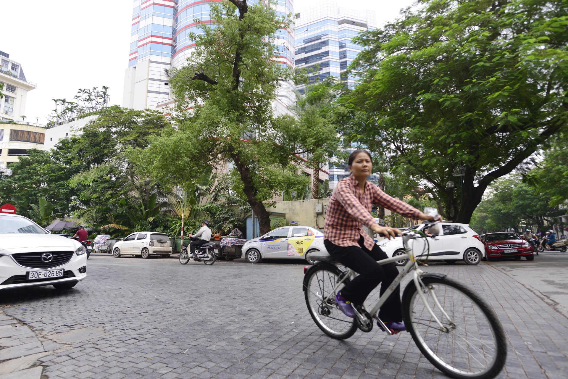 Con pho se tro thanh duong sach trong tuong lai anh 1