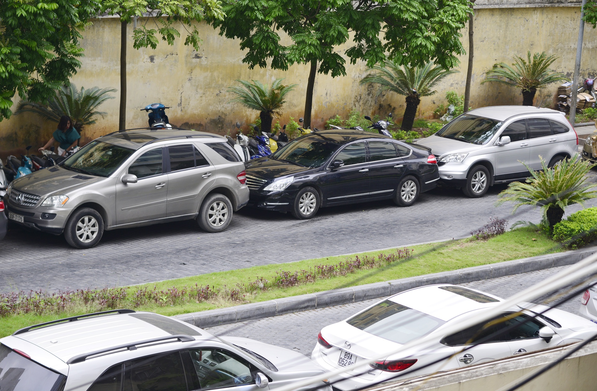 Con pho se tro thanh duong sach trong tuong lai anh 9