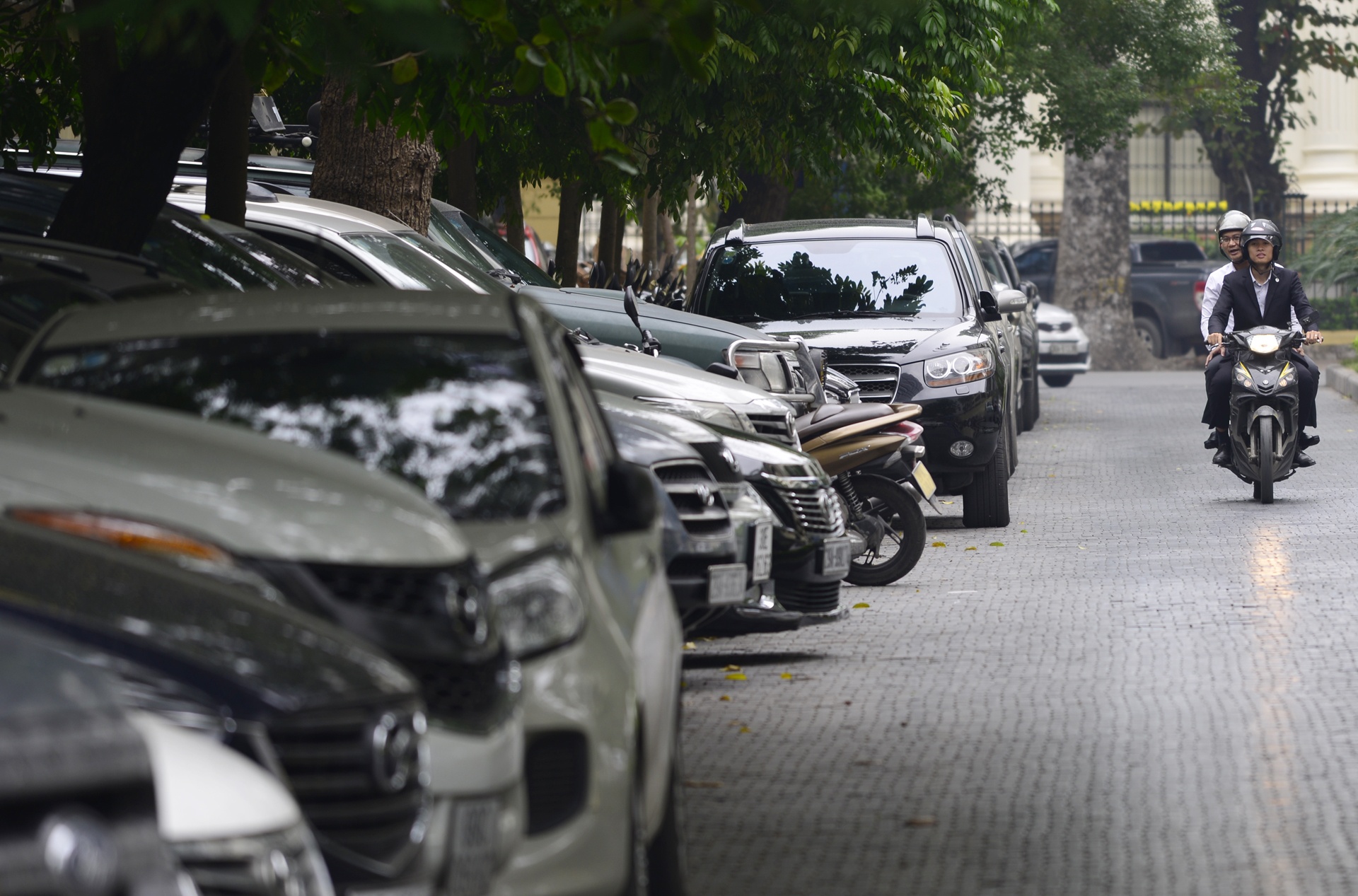 Con pho se tro thanh duong sach trong tuong lai anh 11