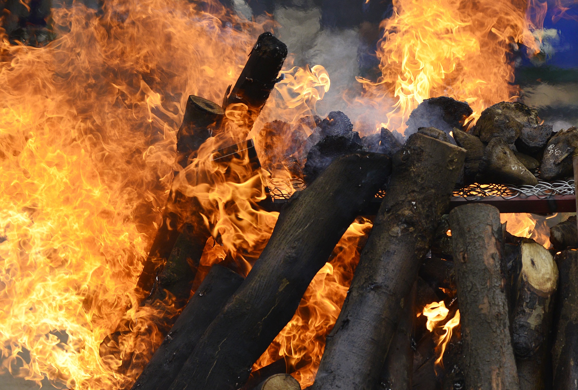Tieu huy nga voi va sung te giac anh 13