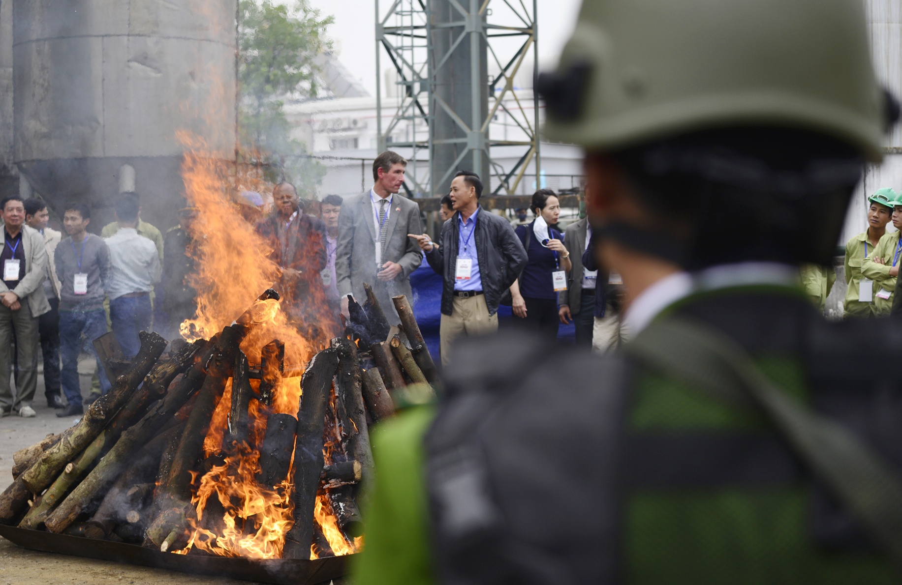 Tieu huy nga voi va sung te giac anh 12