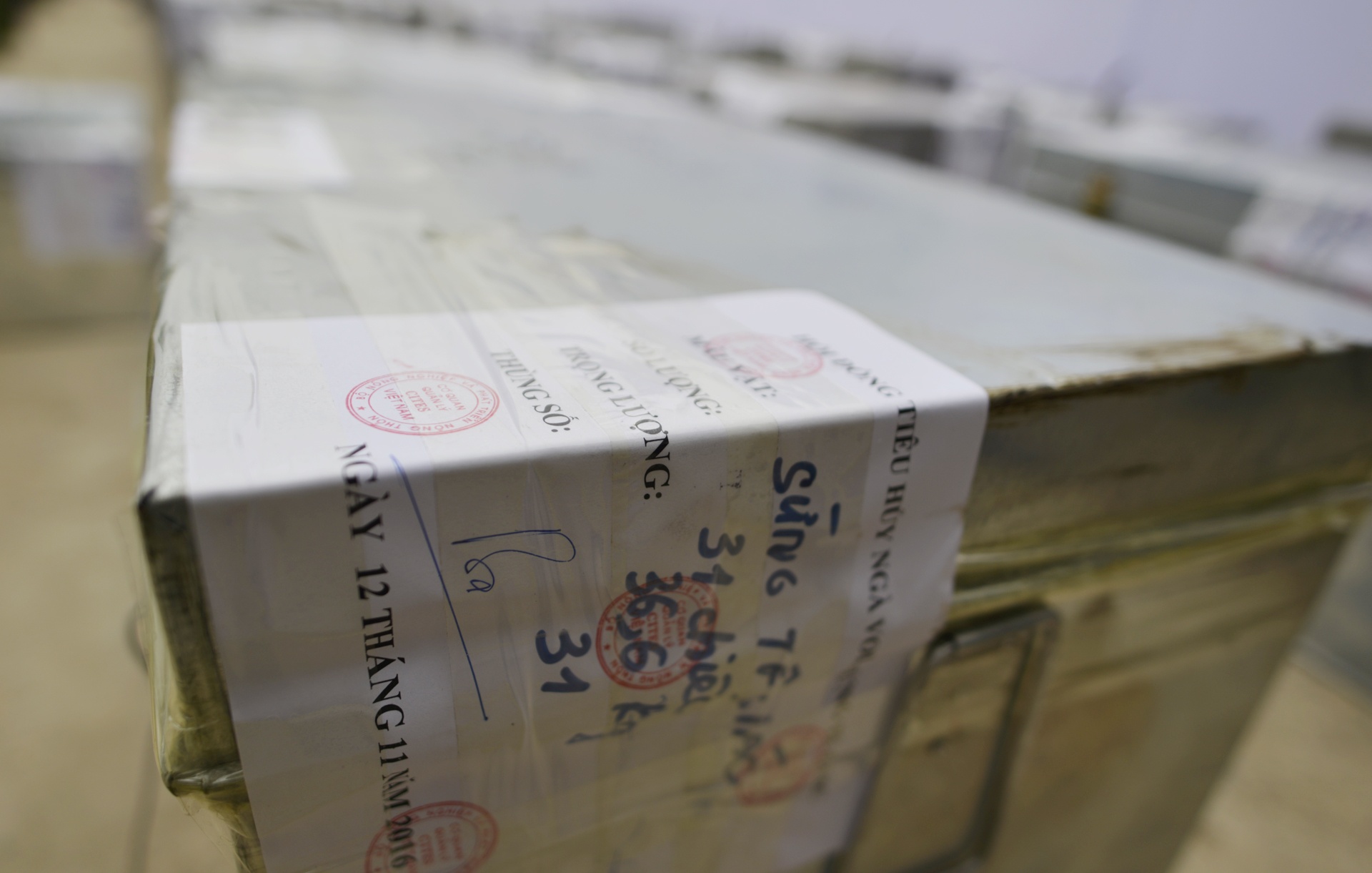 Tieu huy nga voi va sung te giac anh 2