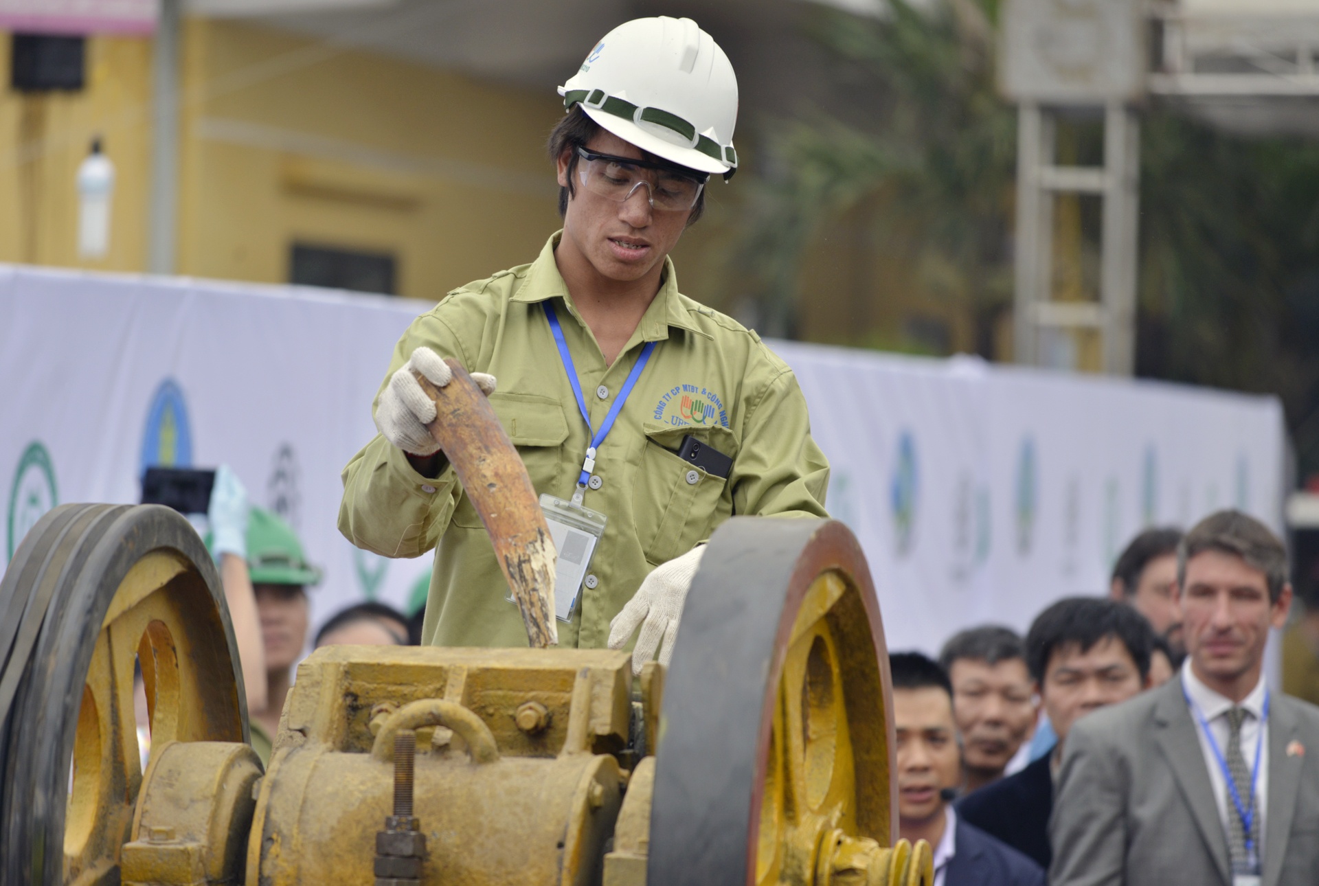 Tieu huy nga voi va sung te giac anh 8