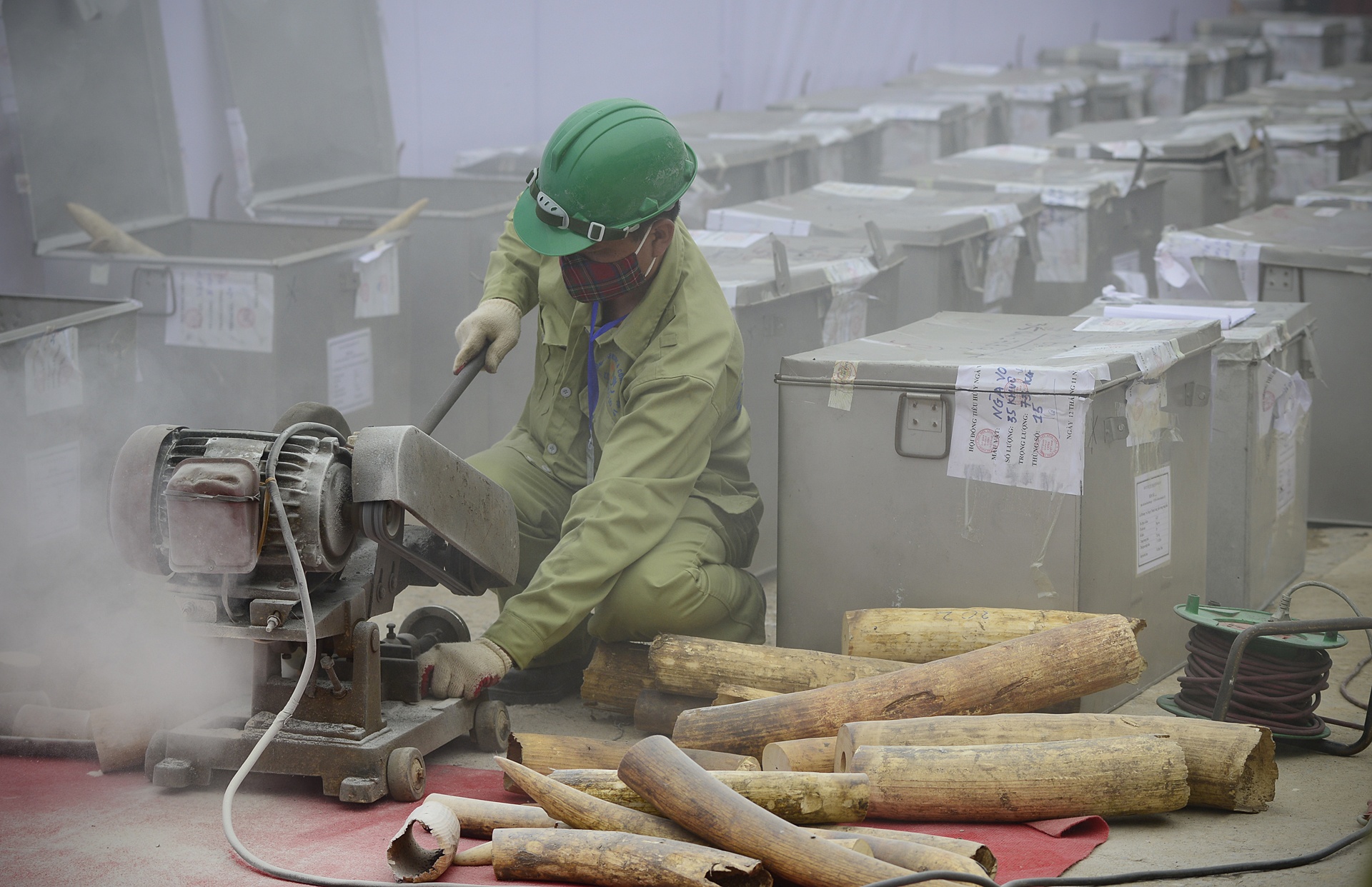 Dot thanh tro 2 tan nga voi, 70 kg sung te giac hinh anh