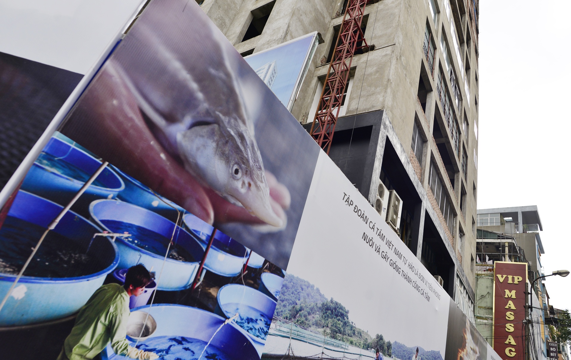 Du an t113 Thai Ha bo hoang o Thu do anh 4