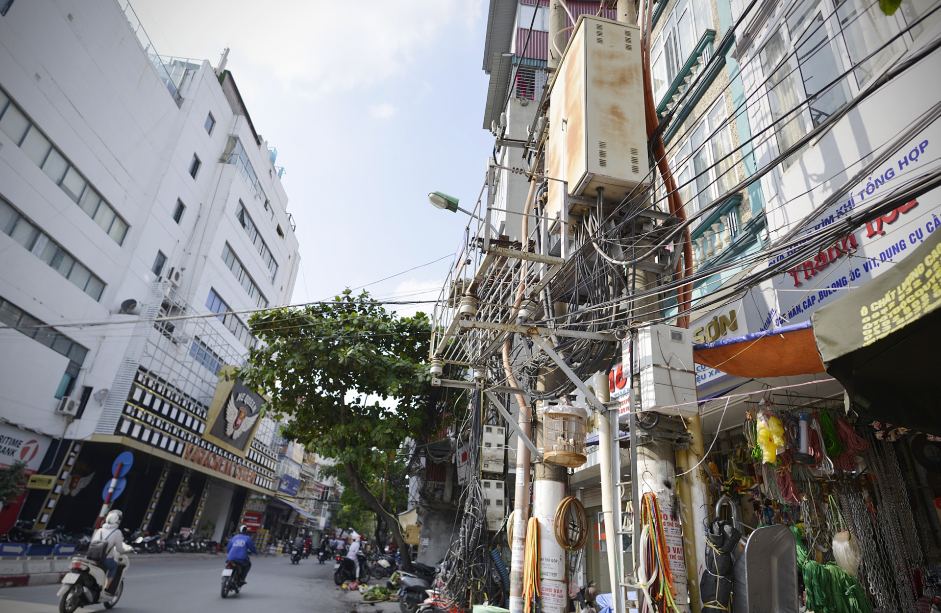 Muu sinh duoi chan tram bien ap o Ha Noi anh 3