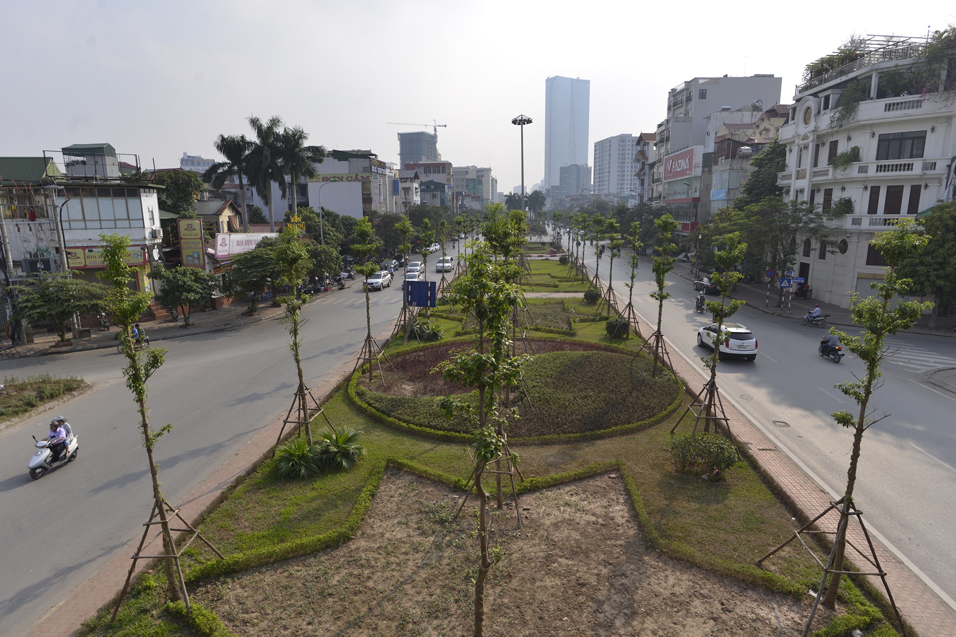 tham co bi xen,  heo ua o Ha Noi anh 1