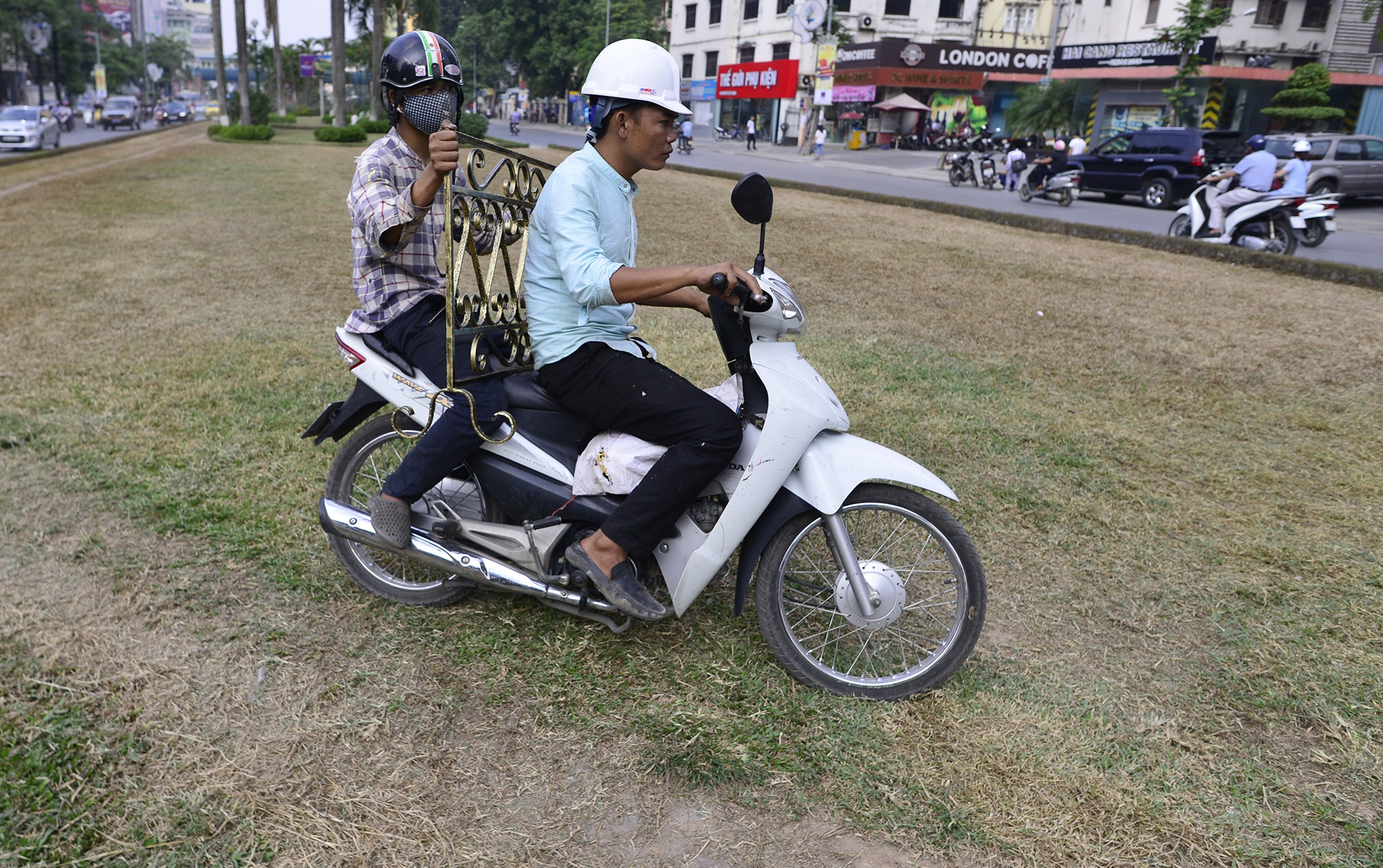 Co bi giam, heo ua o duong dep nhat Viet Nam hinh anh