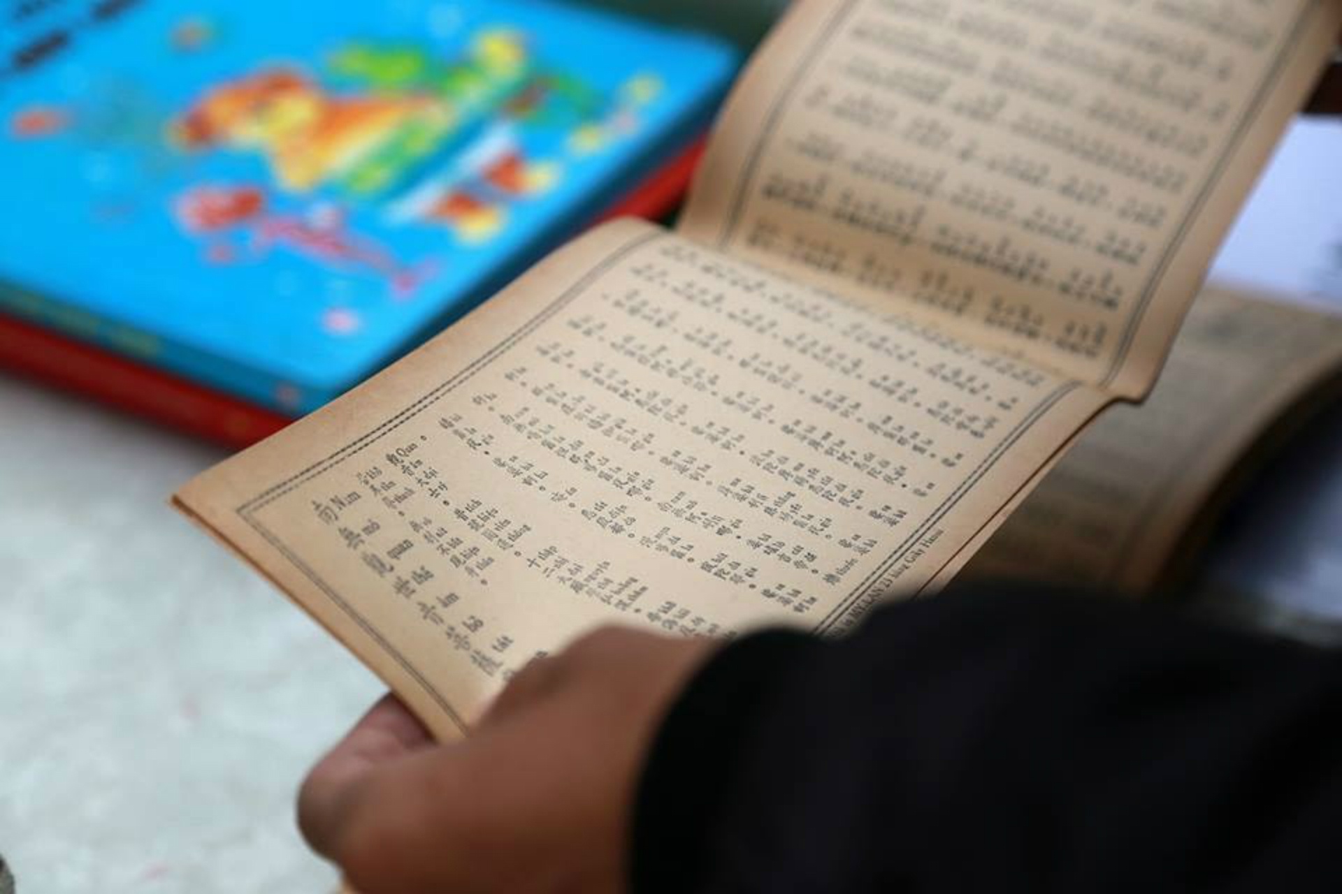 Đại hội sách cũ tại hoàng thành Thăng Long ảnh 7 Dai hoi sach cu tai hoang thanh Thang Long anh 7