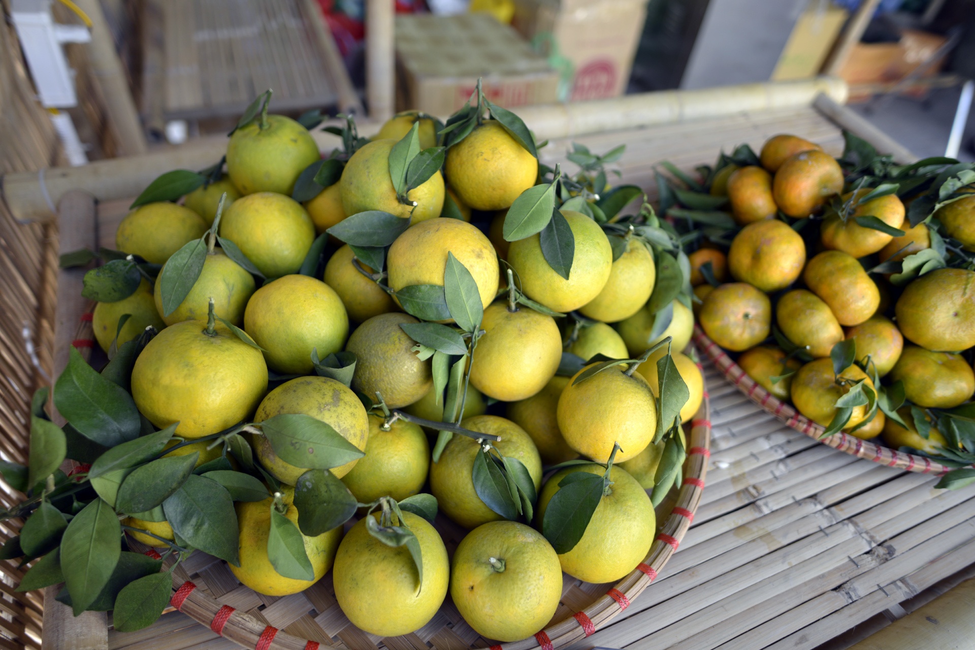 Dac san 4 mien hoi tu tai Thu do anh 10